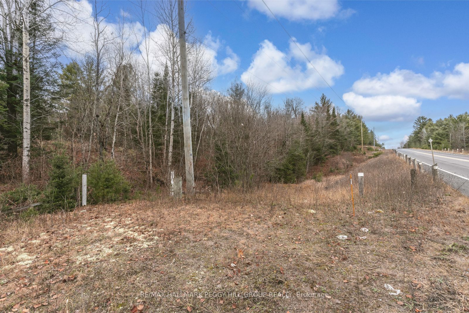 0 County Road 121 N/A, Minden Hills, ON K0M 2A1 photo 5