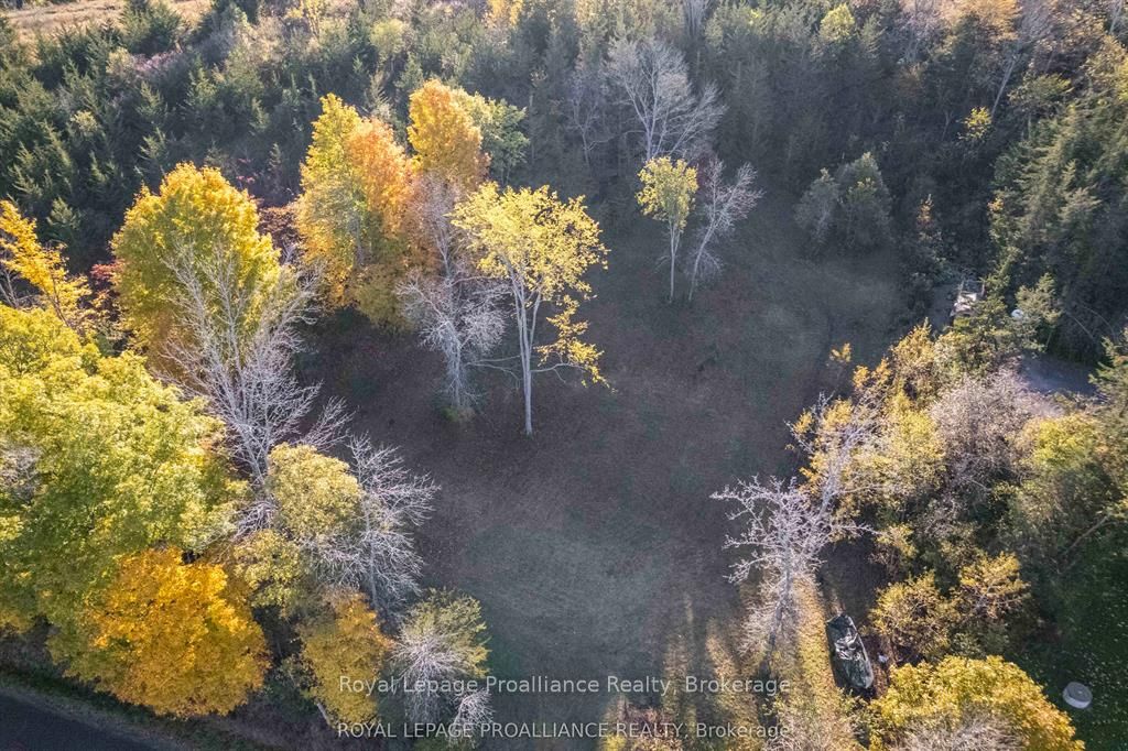 863 Gunter Settlement Road, Quinte West, ON K8V 5P6 photo 5