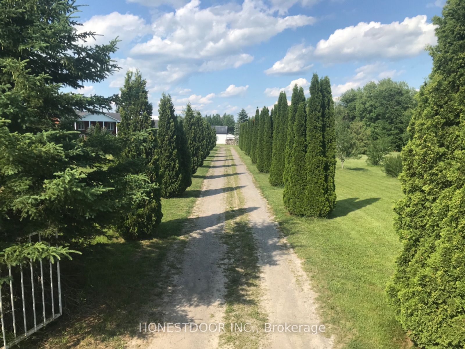 2349 Settlers Line, Otonabee-South Monaghan, ON K0L 2B0 photo 2
