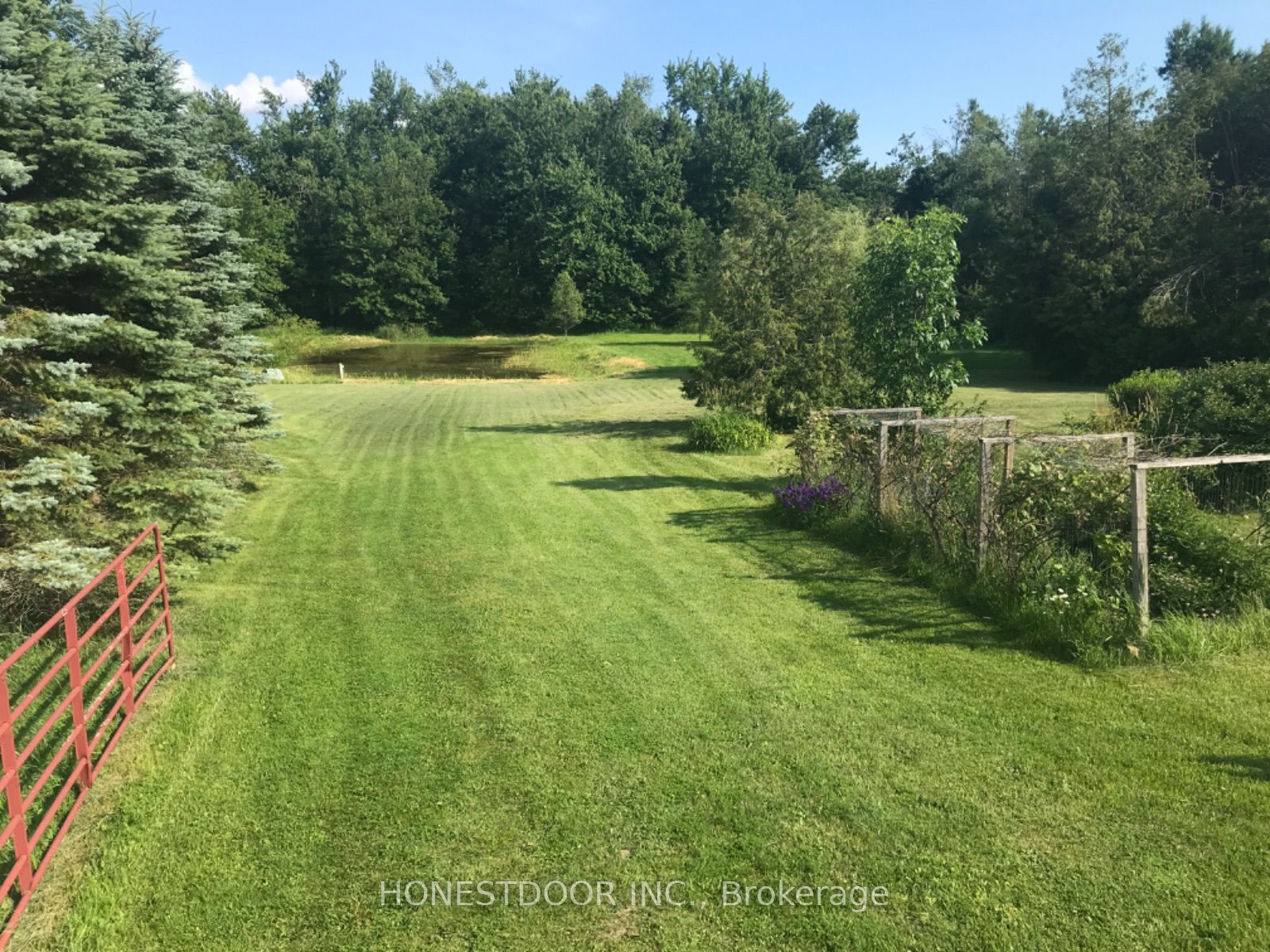 2349 Settlers Line, Otonabee-South Monaghan, ON K0L 2B0 photo 4