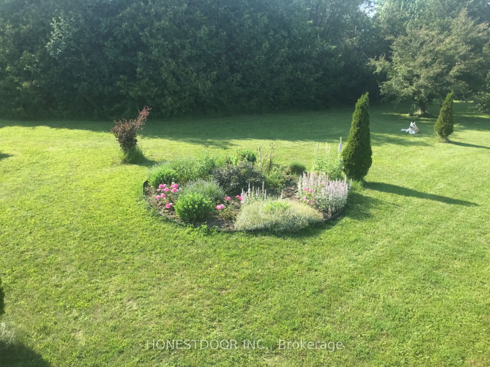 2349 Settlers Line, Otonabee-South Monaghan, ON K0L 2B0 photo 5