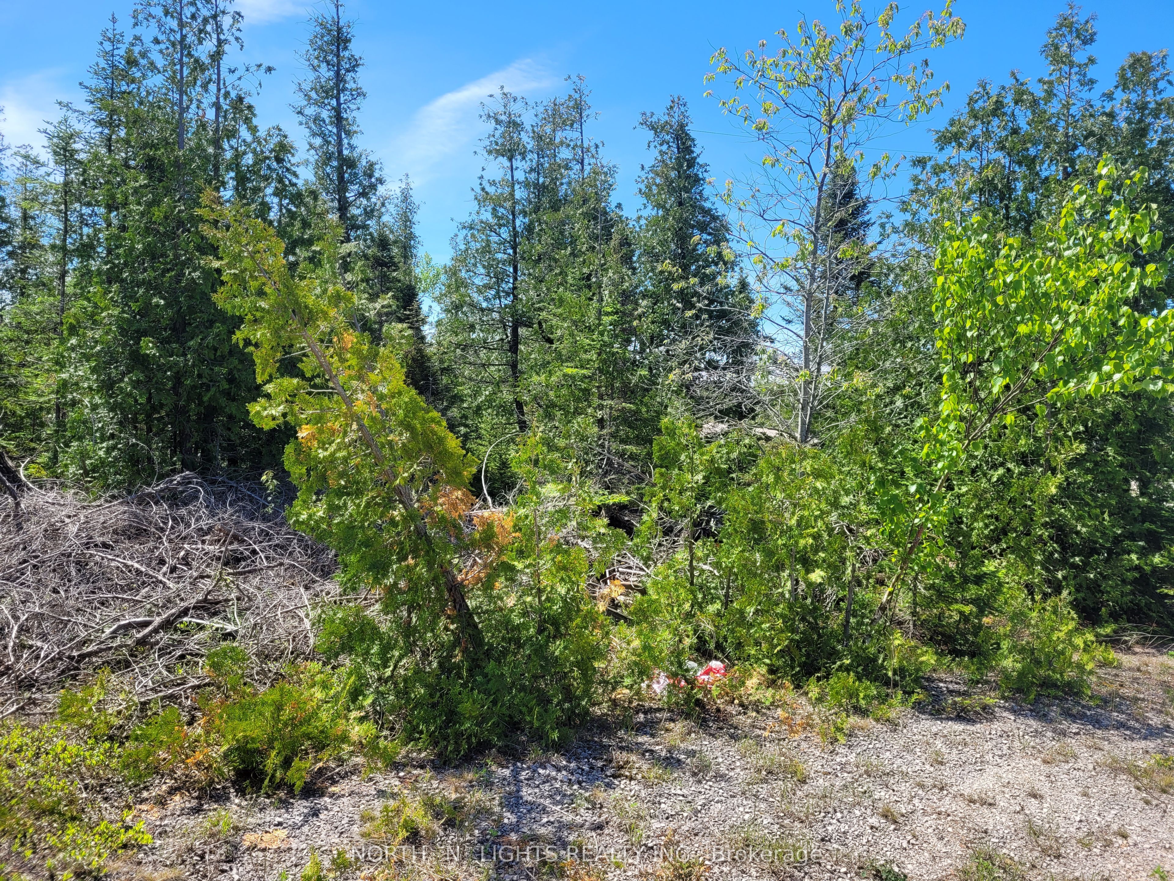 PT LOT 26 CON 8 WBR SADLER CREEK Road E, Northern Bruce Peninsula, ON N0H 1W0 photo 5