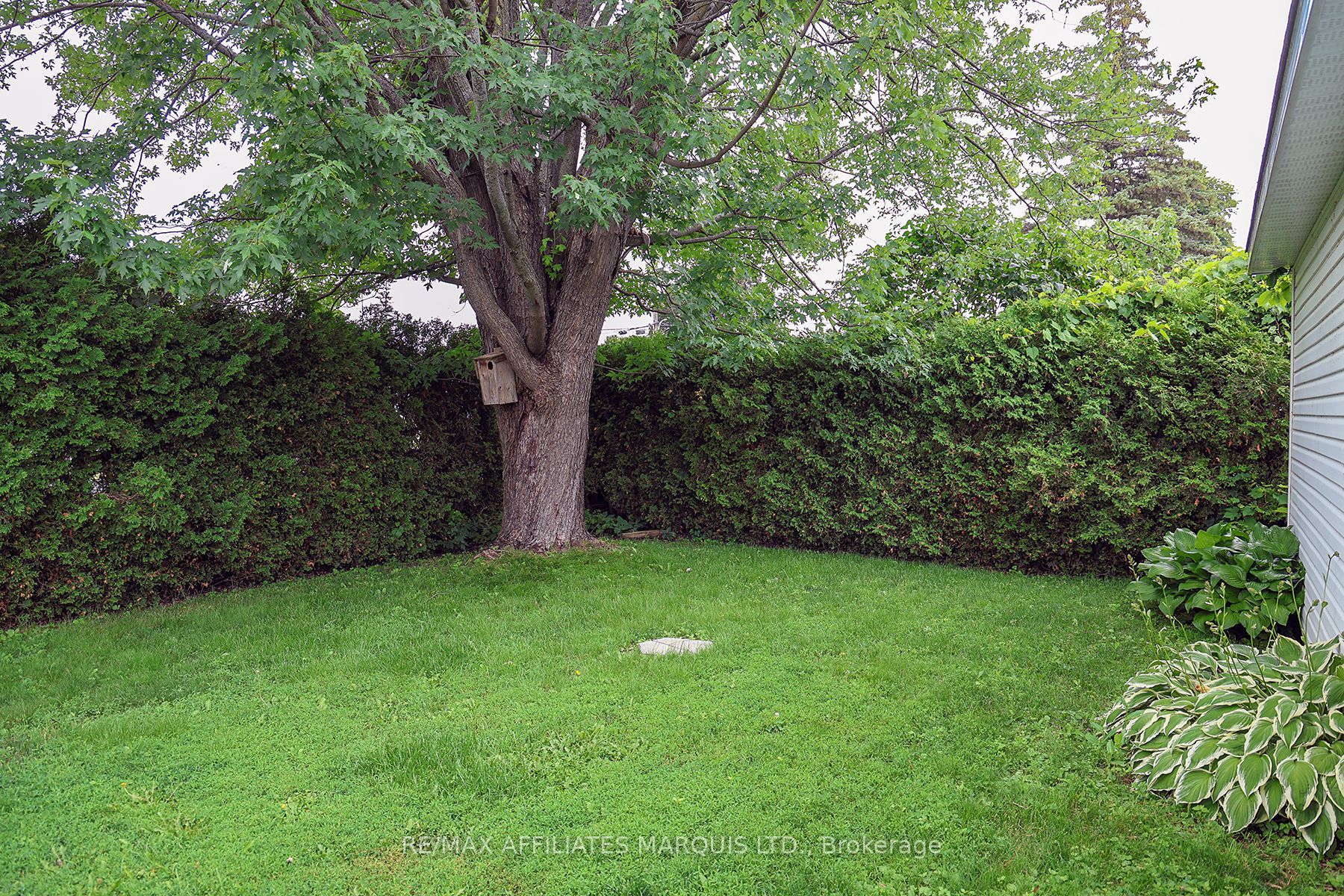 33 Ontario Street, South Dundas, ON K0C 1X0 photo 5