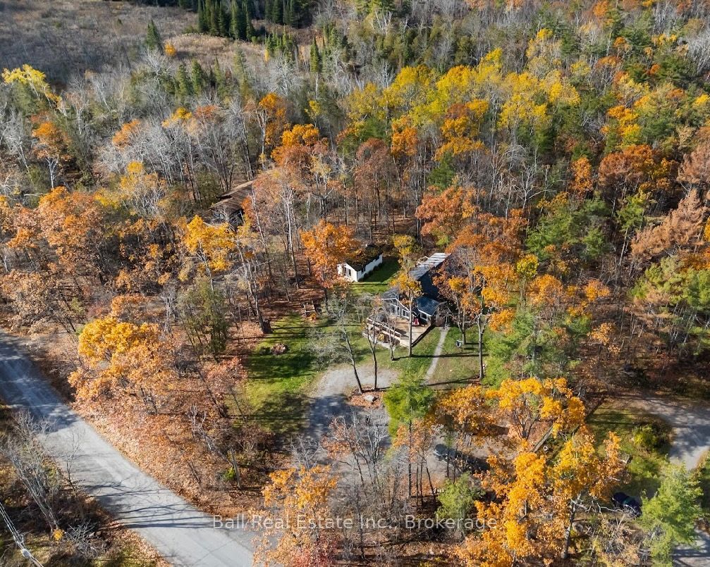 686 Coon Lake Road, North Kawartha, ON K0L 2H0 photo 3
