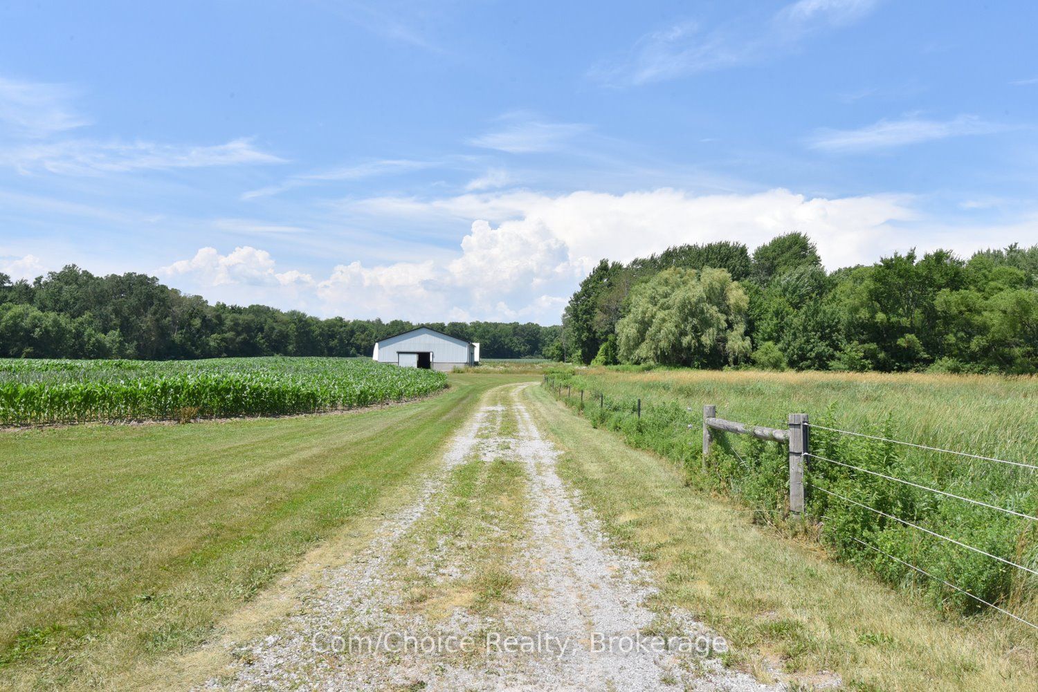 529 Charlotteville Road 5 Road, Norfolk, ON N3Y 4K1 photo 4