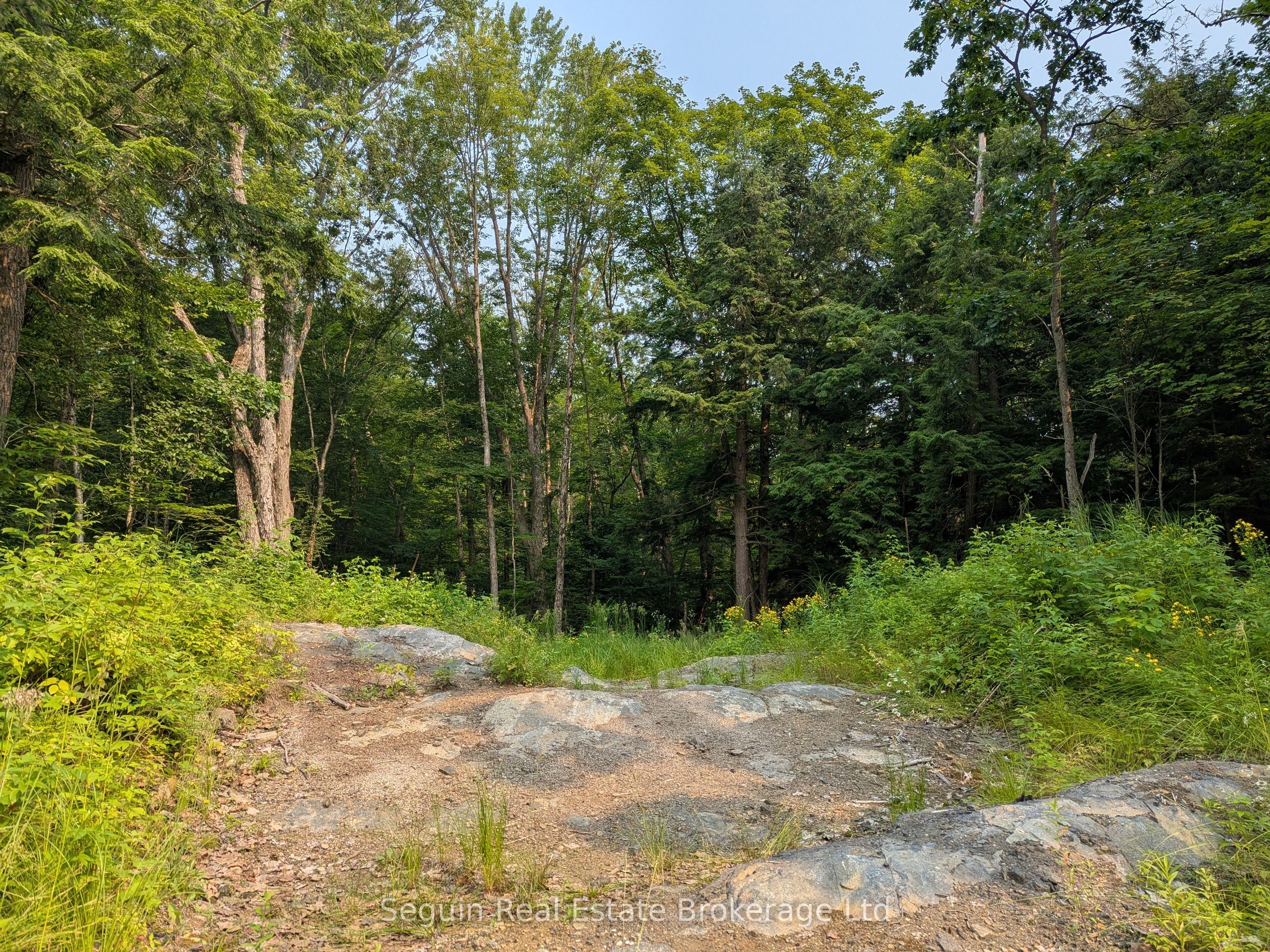 31 Pinewood Drive, McDougall, ON P2A 2W7 photo 2