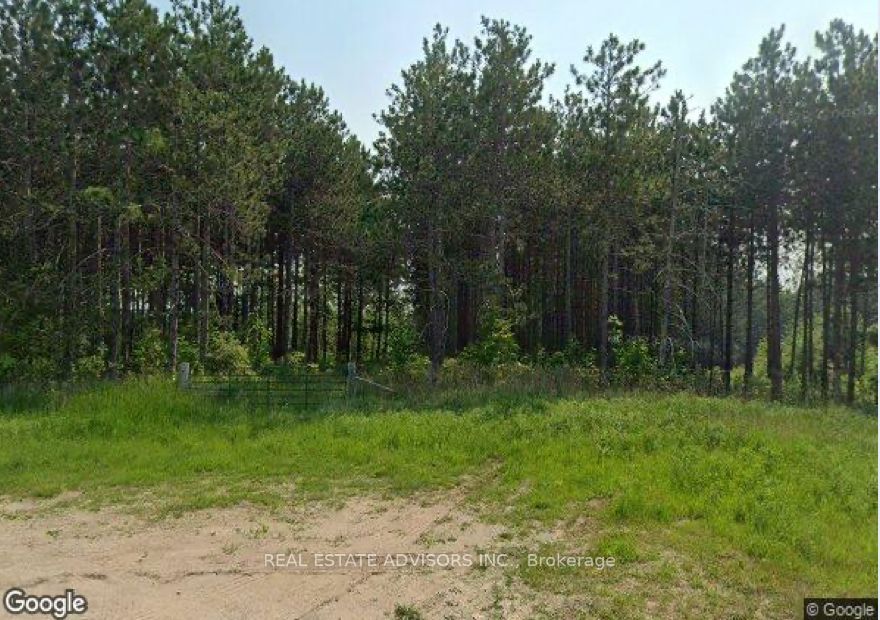 637519 Prince Of Wales Road, Mulmur, ON L0N 1J0 photo 4