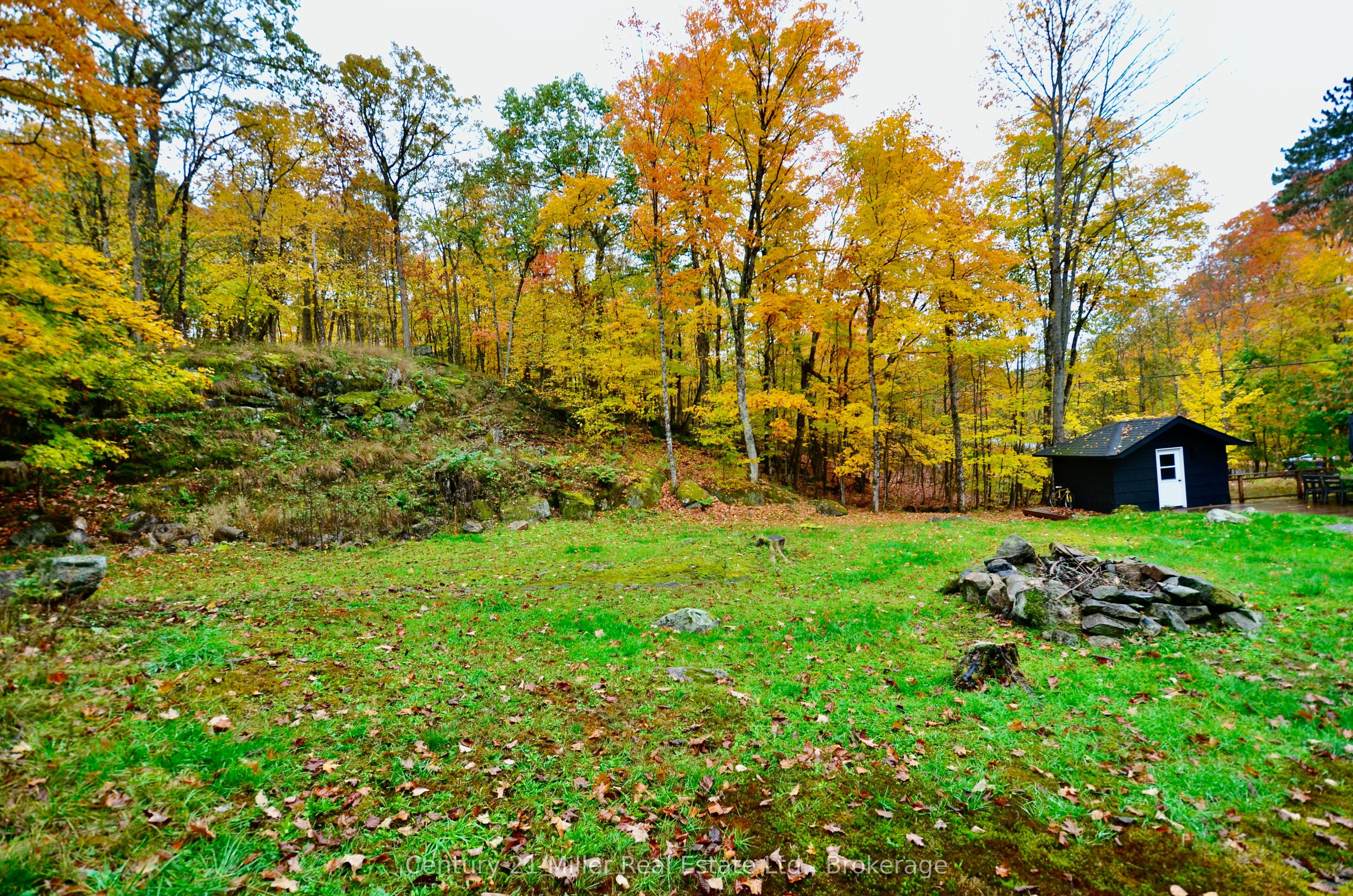 1279 Carlingford Road, Muskoka Lakes, ON P0B 1J0 photo 3