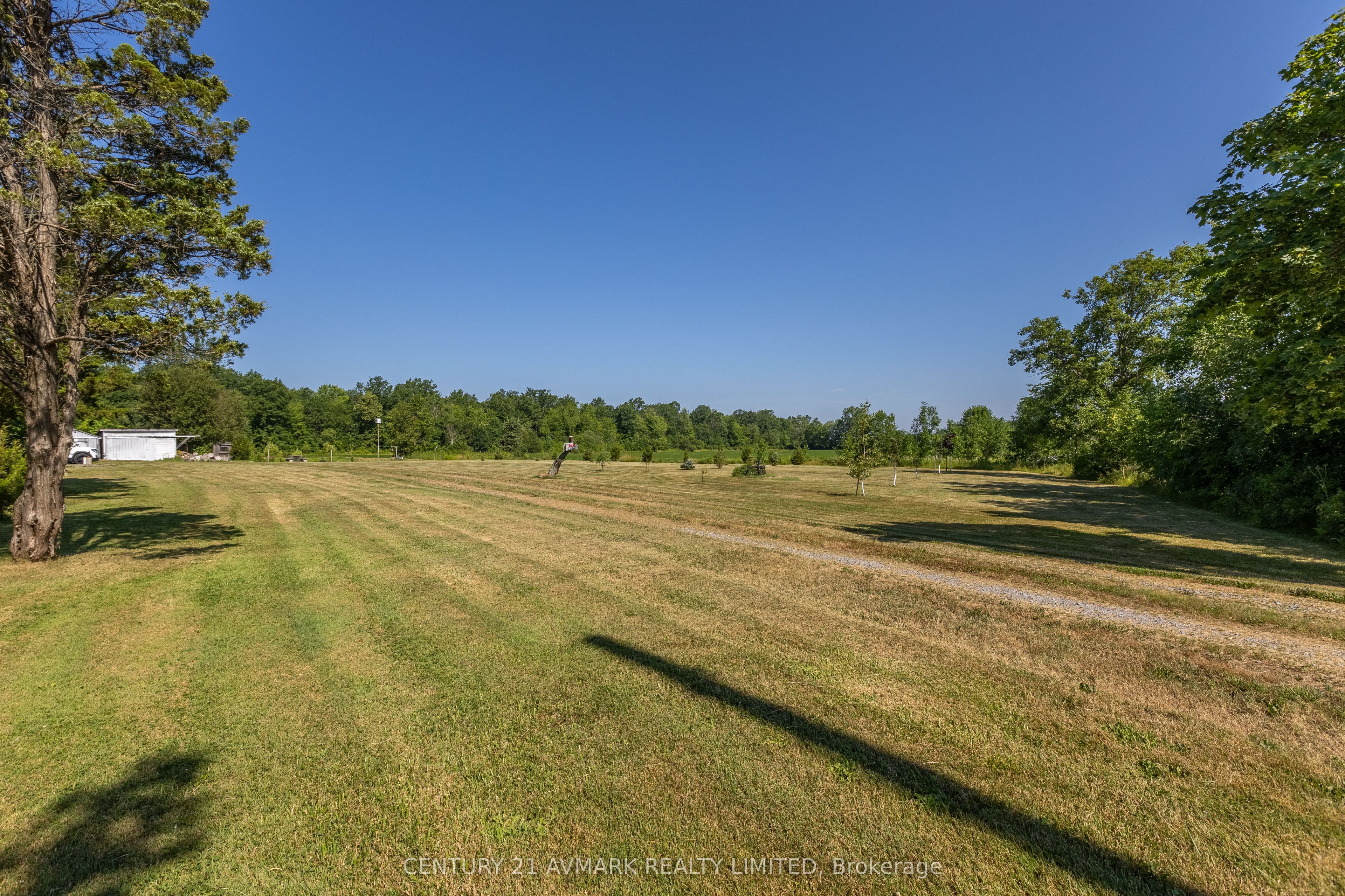 21872 Highway 3 N/A, Wainfleet, ON L0S 1V0 photo 3