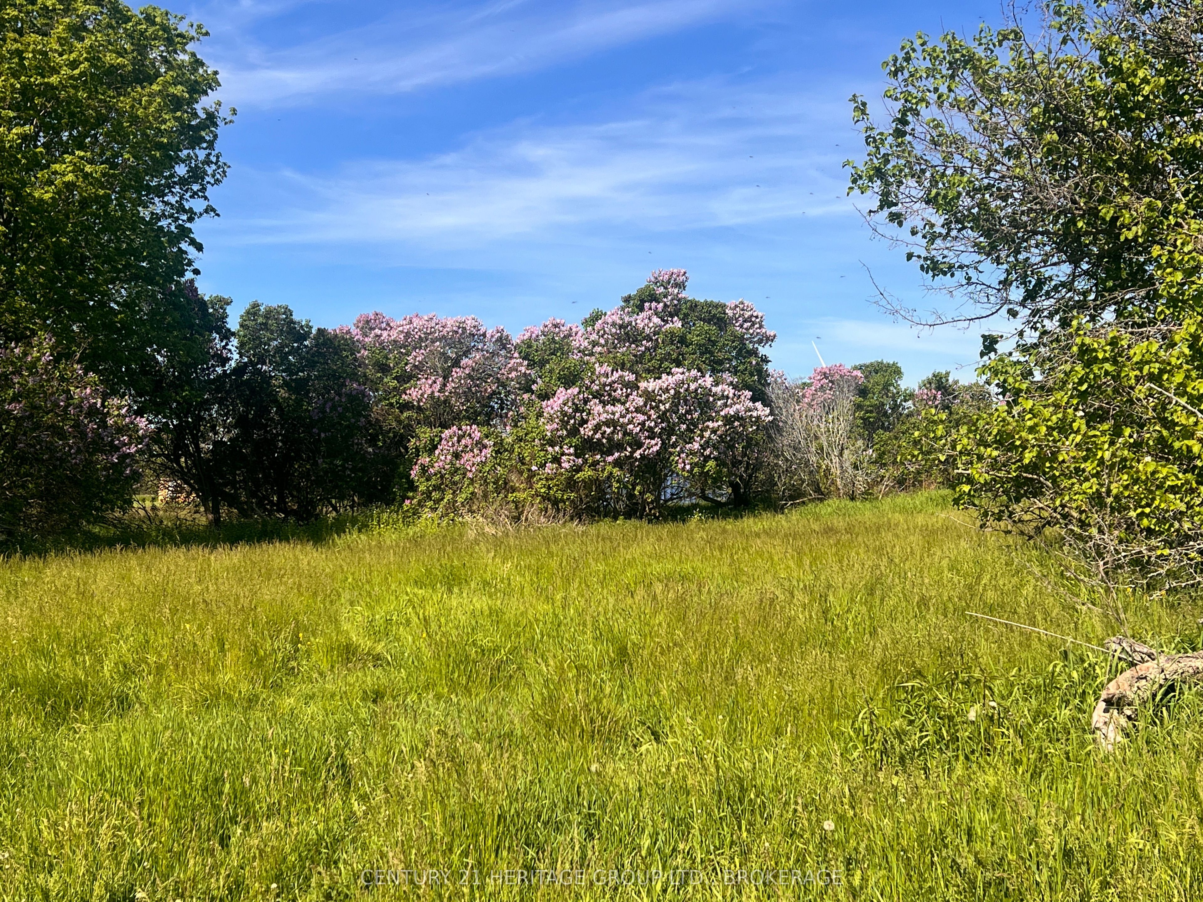 LOT 17 SOUTH SHORE Road, Frontenac Islands, ON K0H 2S0 photo 3