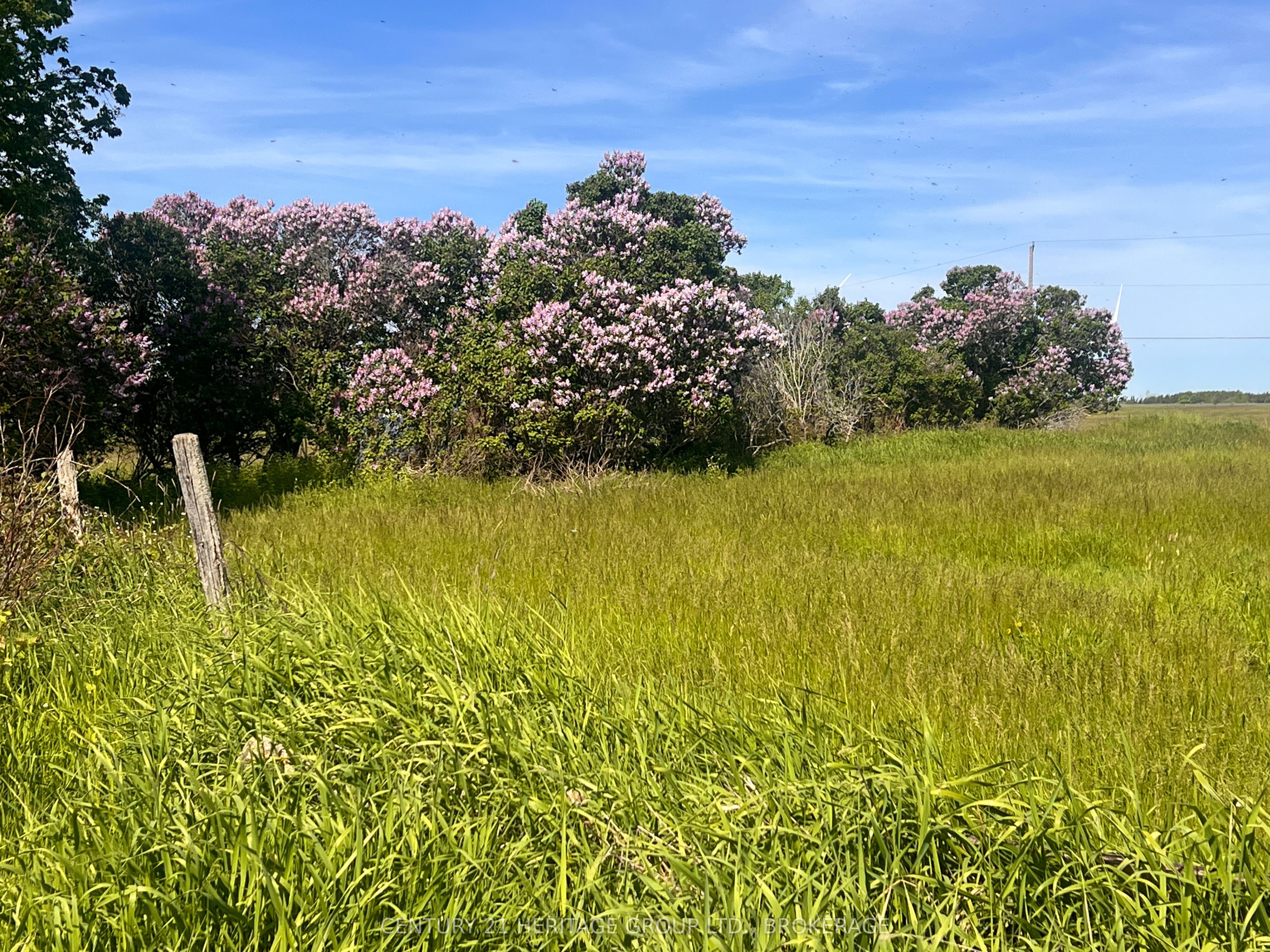 LOT 17 SOUTH SHORE Road, Frontenac Islands, ON K0H 2S0 photo 5