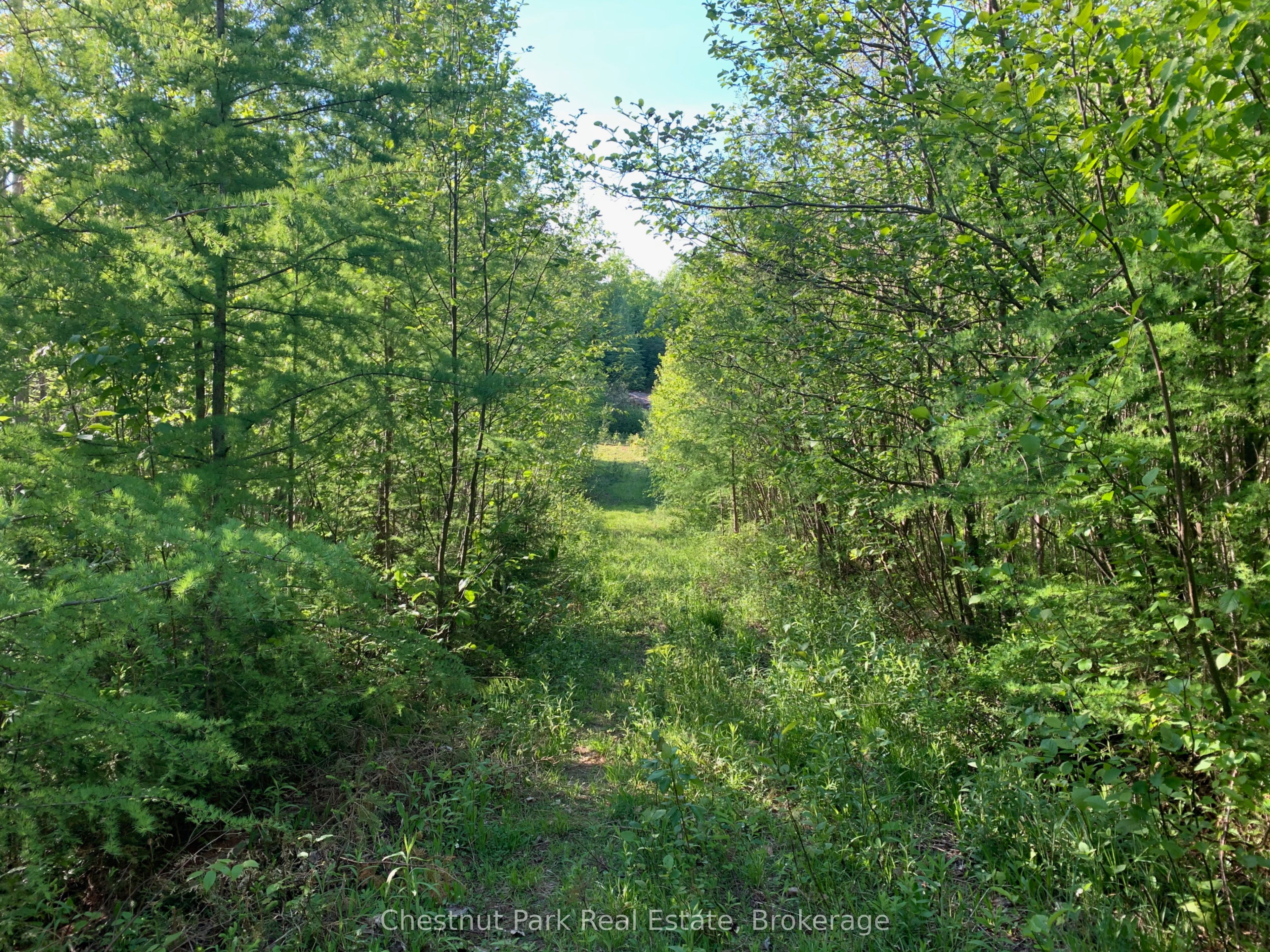 310 Super Sign Road, Perry, ON P0A 1J0 photo 3