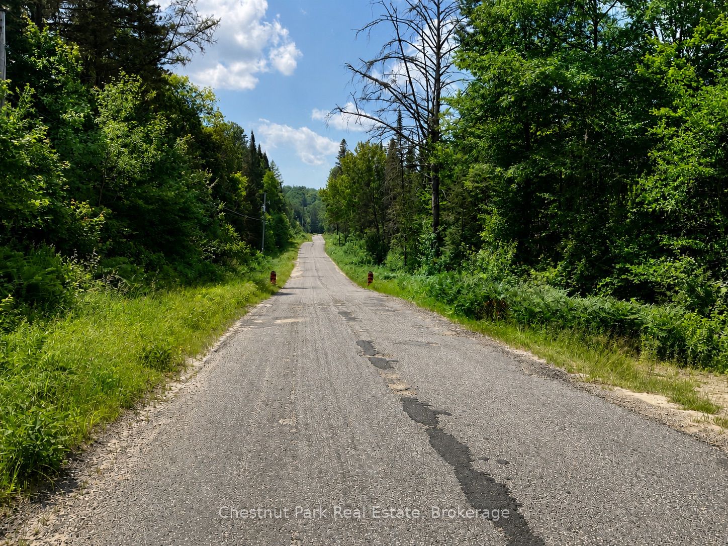310 Super Sign Road, Perry, ON P0A 1J0 photo 4