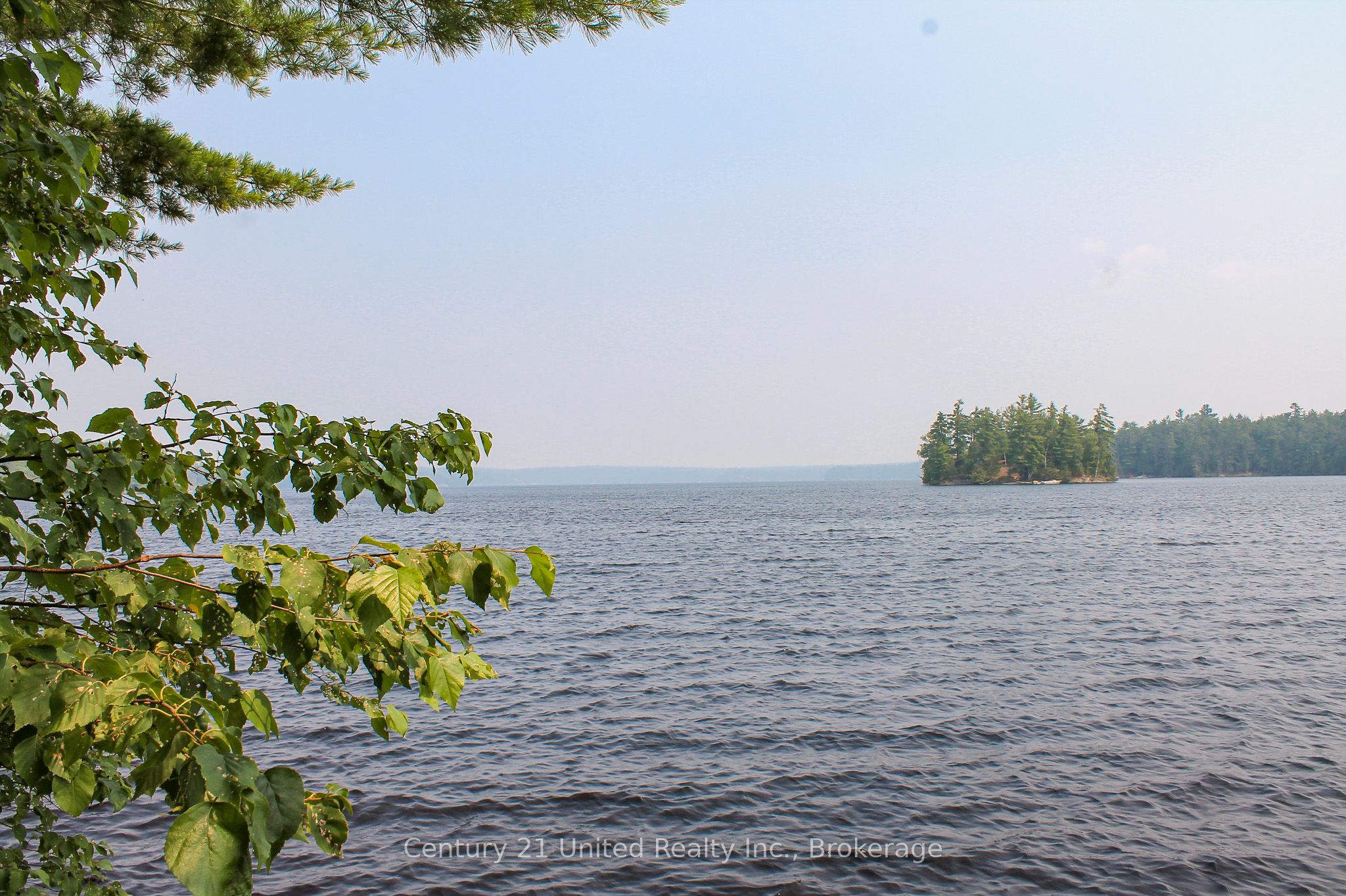 47 McKee Avenue, Trent Lakes, ON K0L 1J0 photo 3