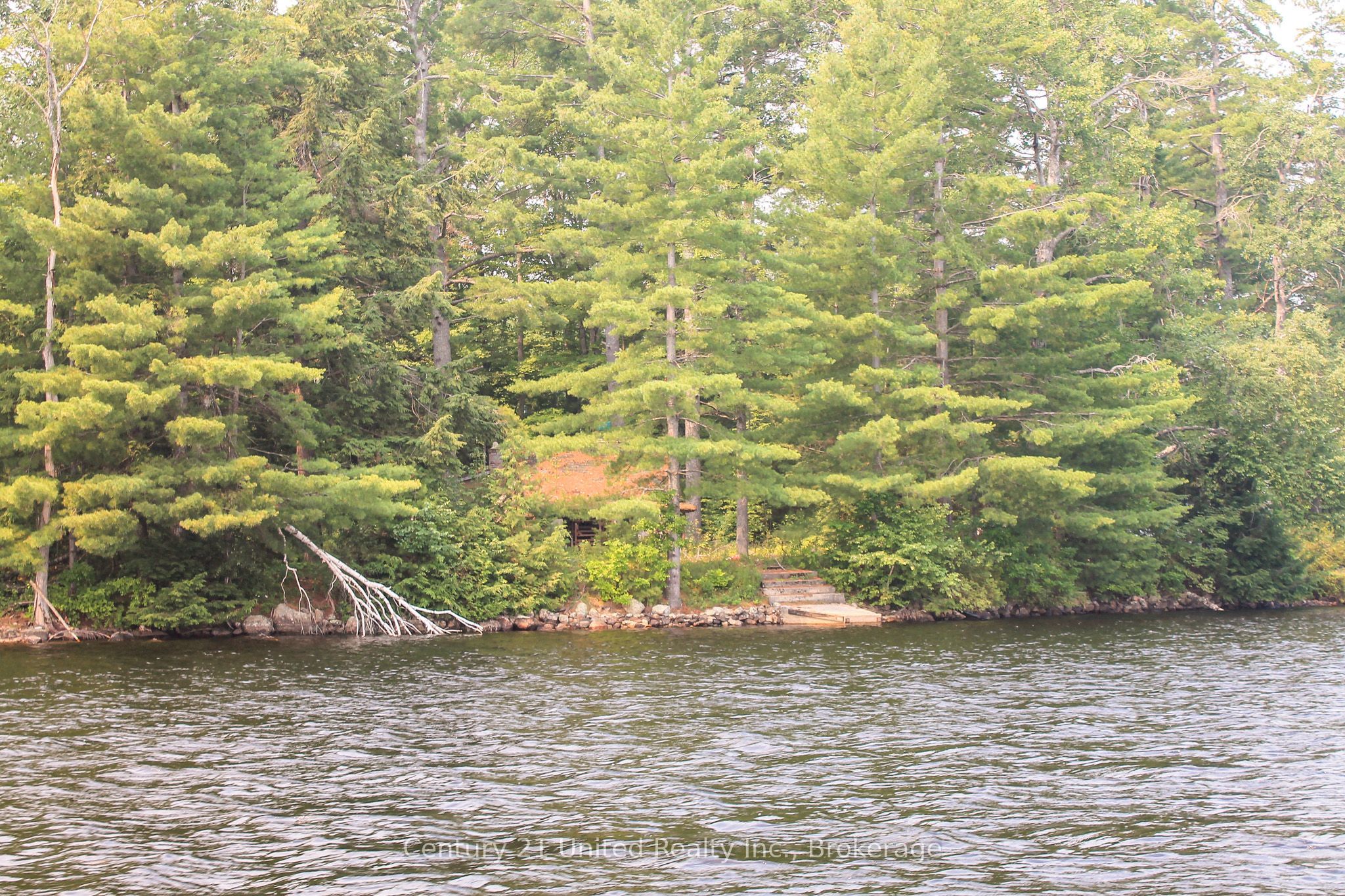 47 McKee Avenue, Trent Lakes, ON K0L 1J0 photo 4