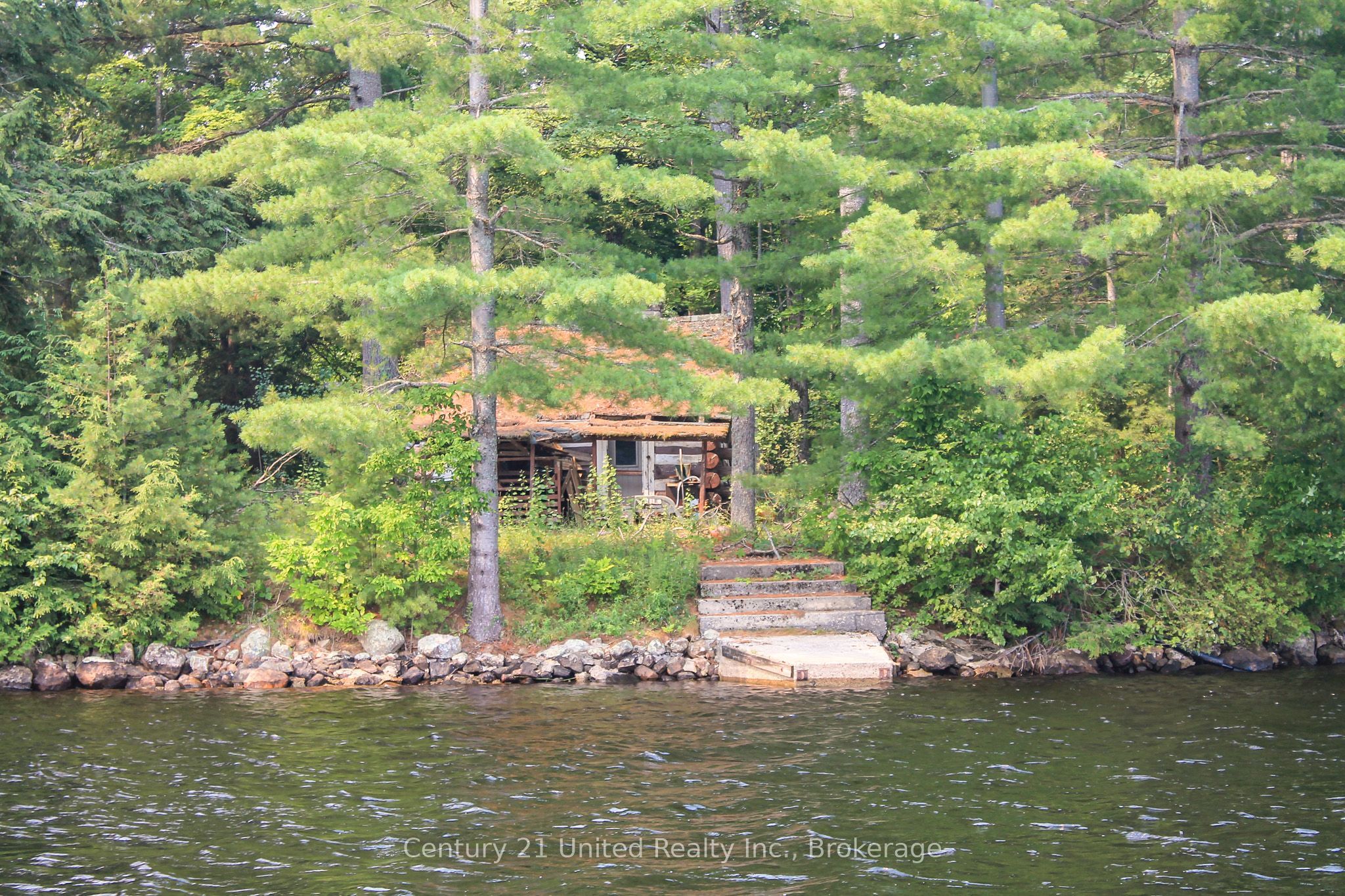 47 McKee Avenue, Trent Lakes, ON K0L 1J0 photo 5