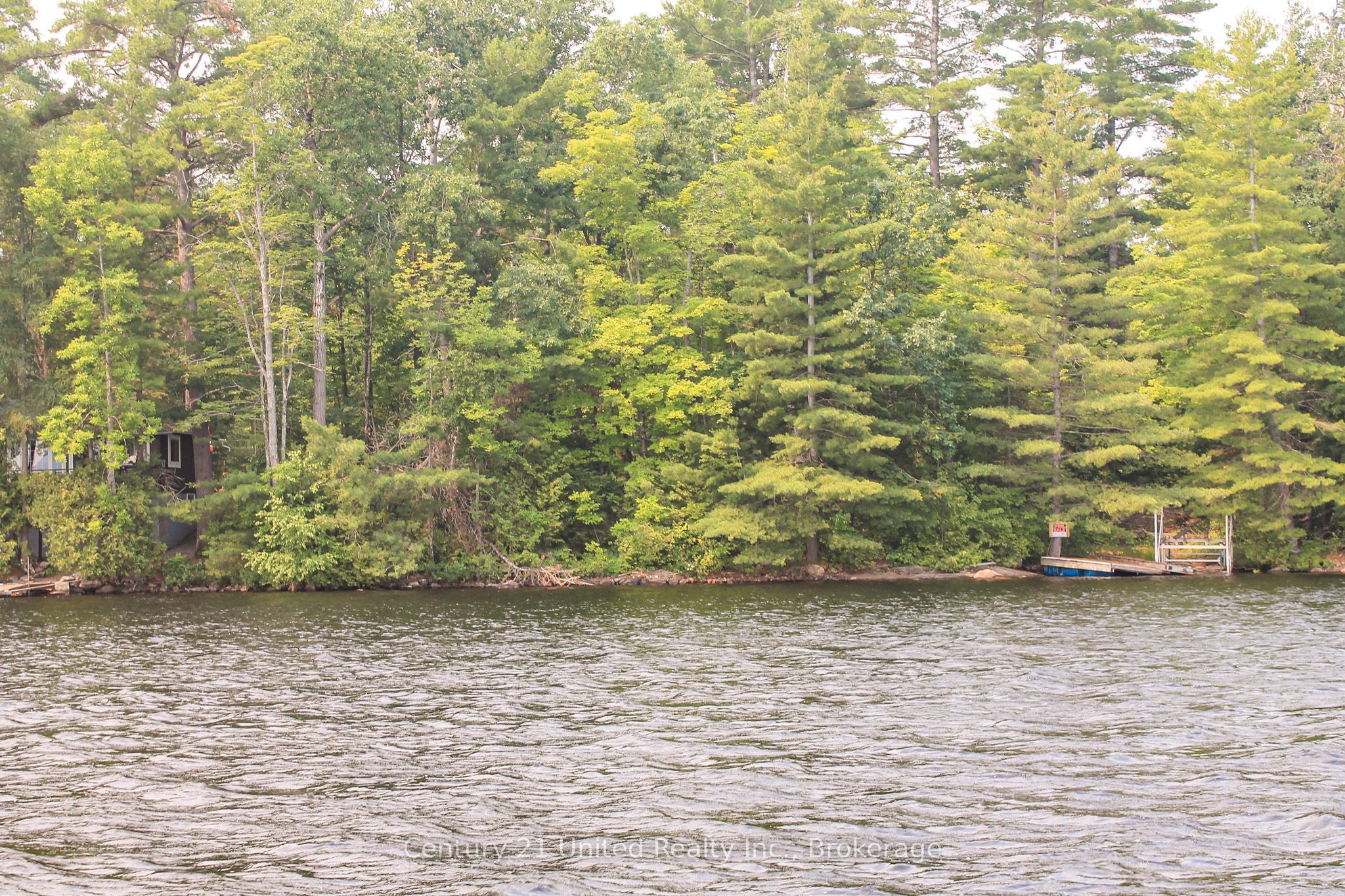 00 McKee Avenue, Trent Lakes, ON K0L 1J0 photo 4