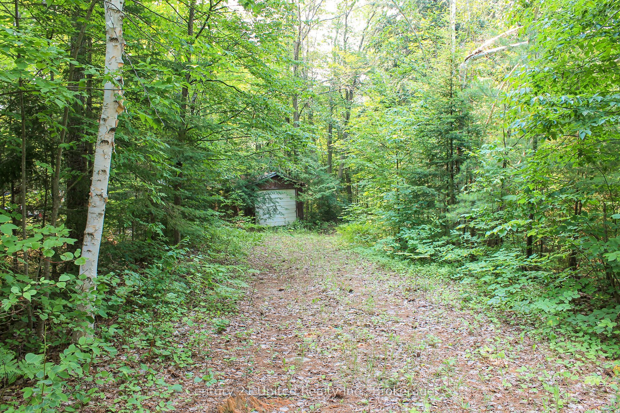 00 McKee Avenue, Trent Lakes, ON K0L 1J0 photo 5