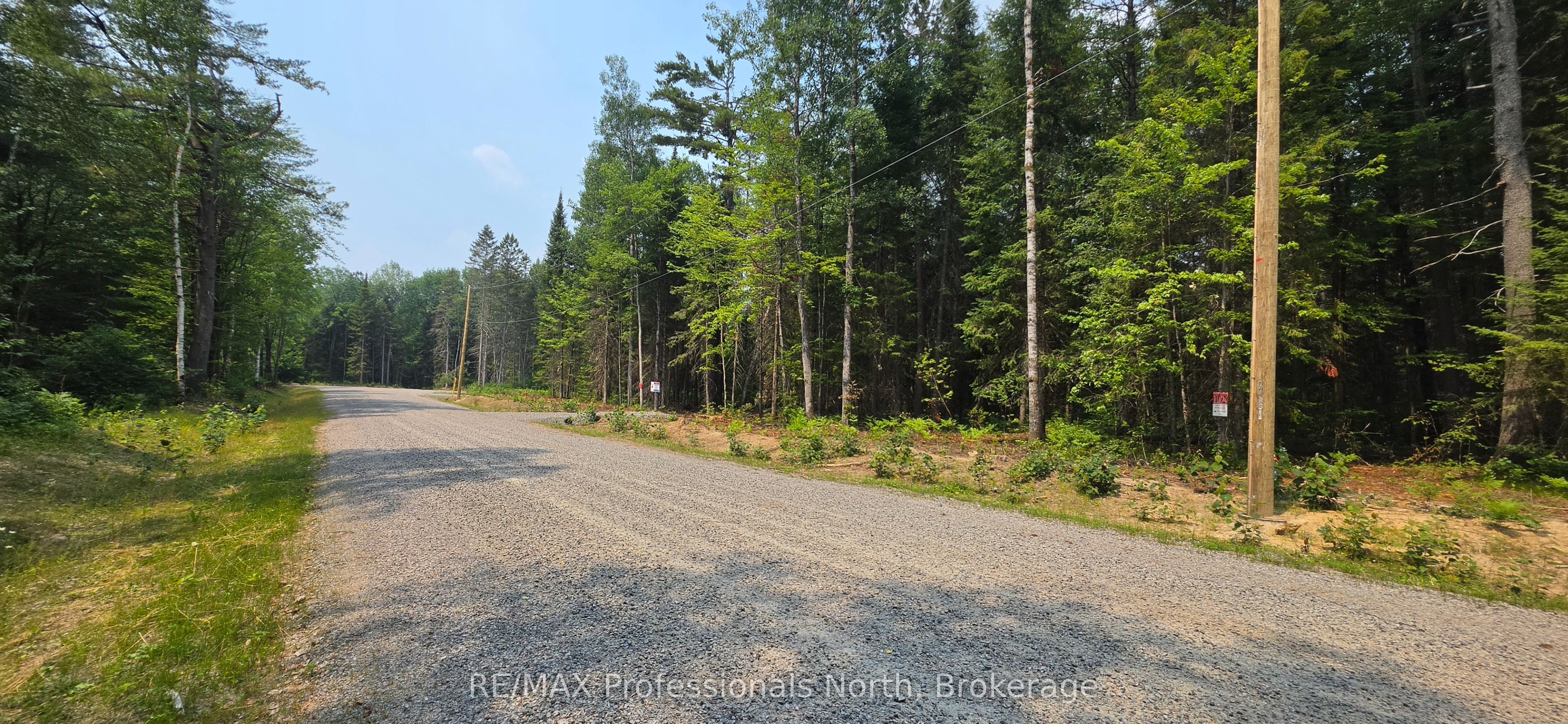 01 SALE Road, Lake of Bays, ON P0A 1H0 photo 2