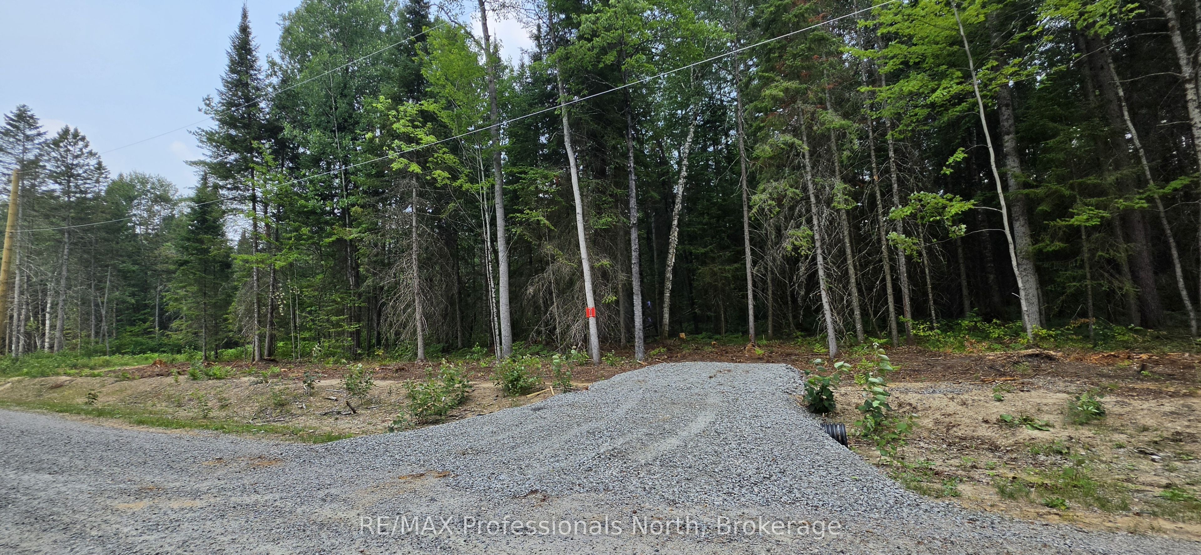 01 SALE Road, Lake of Bays, ON P0A 1H0 photo 3