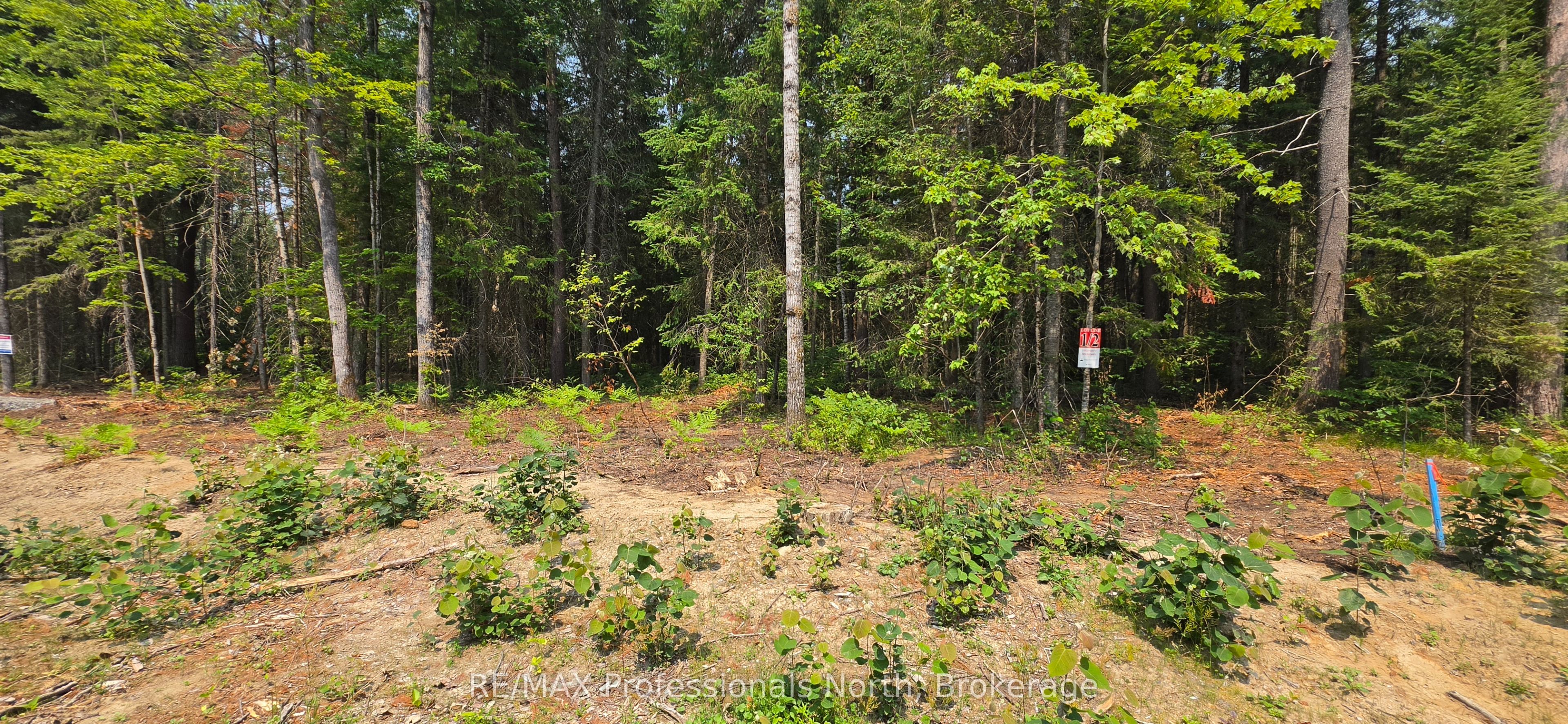 01 SALE Road, Lake of Bays, ON P0A 1H0 photo 4