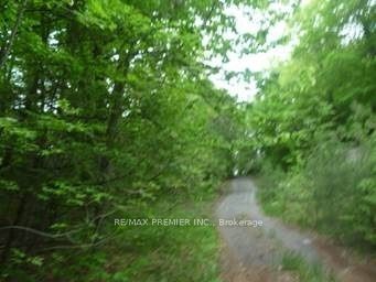 00000 Penyck Lane, Frontenac, ON K0H 2P0 photo 4