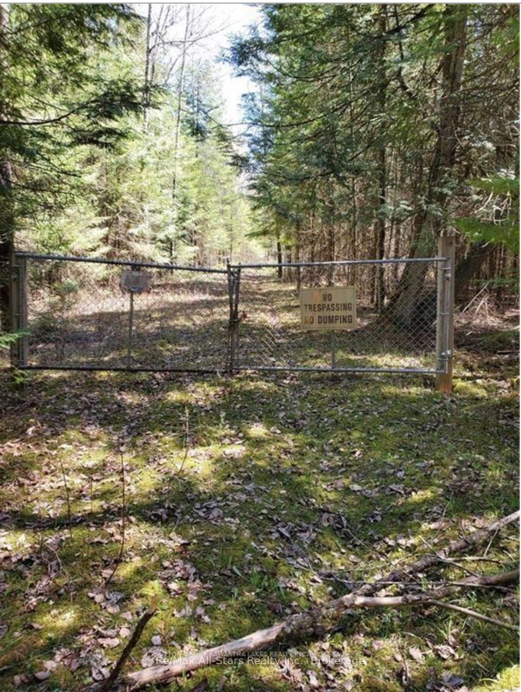 Lot 4 Maritime Road, Kawartha Lakes, ON K0M 2B0 photo 5