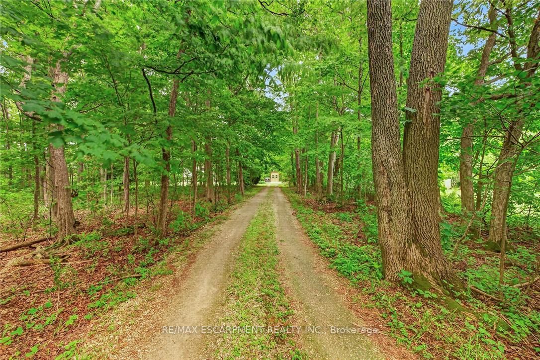 138 Reicheld Road, Haldimand, ON N0A 1P0 photo 5