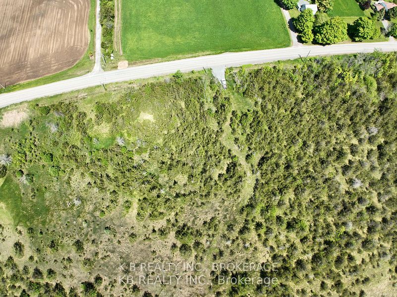 502 Centerville Road, Stone Mills, ON K0K 1N0 photo 5