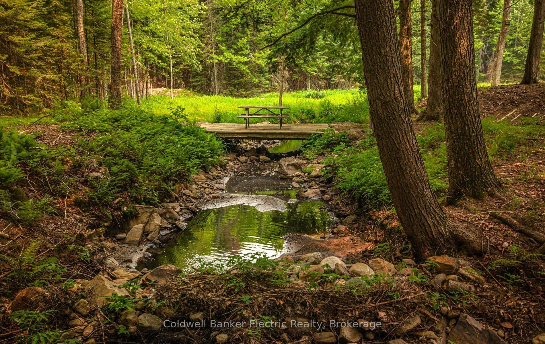 843 Jack Lake Road, Havelock-Belmont-Methuen, ON K0L 1A0 photo 4