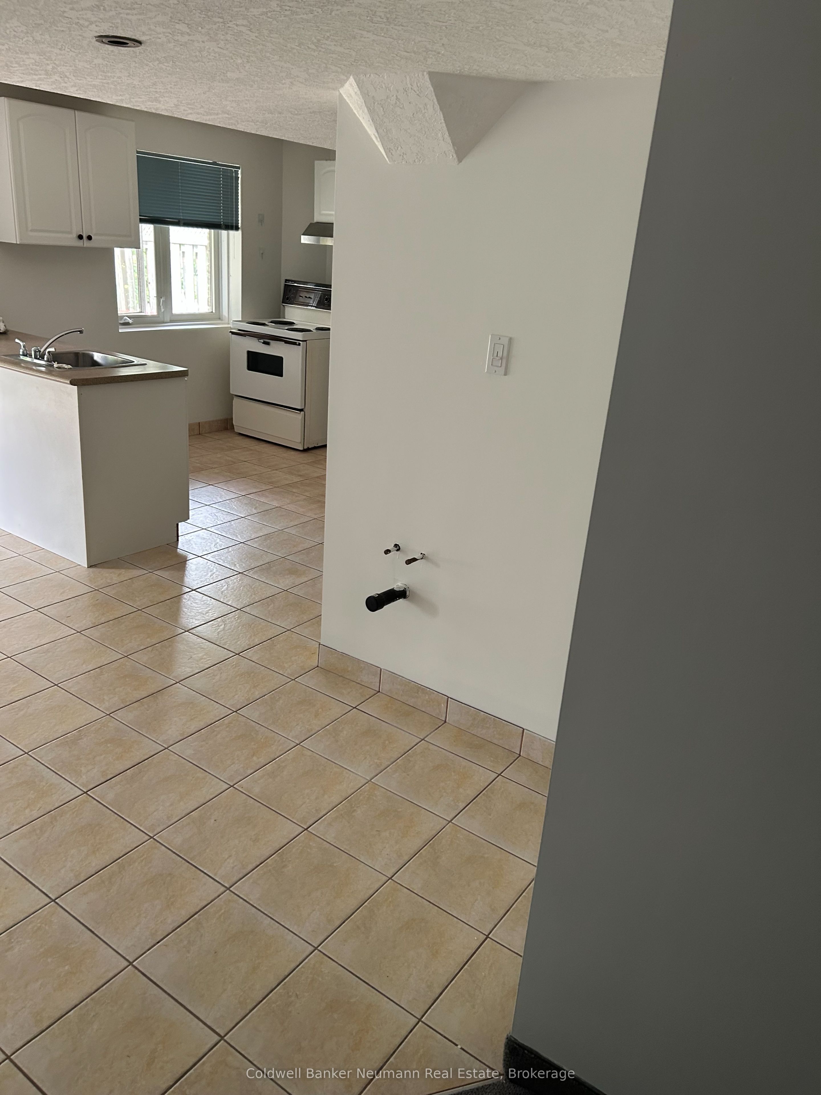 198 Summerfield Drive LOWER, Guelph, ON N1L 1L3 photo 3