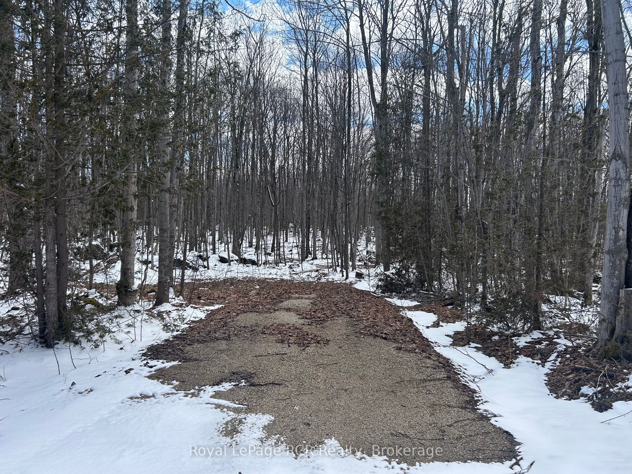 Part Lot 17 Grey Road 17 Road E, Georgian Bluffs, ON N0H 2T0 photo 4