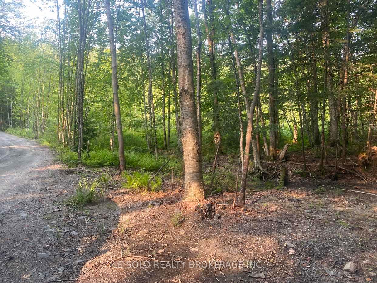 1310 Camel Lake Road Lot # 7, Muskoka Lakes, ON P1L 1X4 photo 2