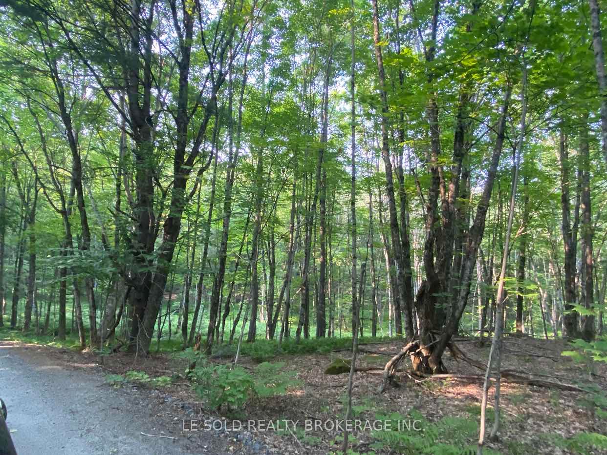 1310 Camel Lake Road Lot # 7, Muskoka Lakes, ON P1L 1X4 photo 4