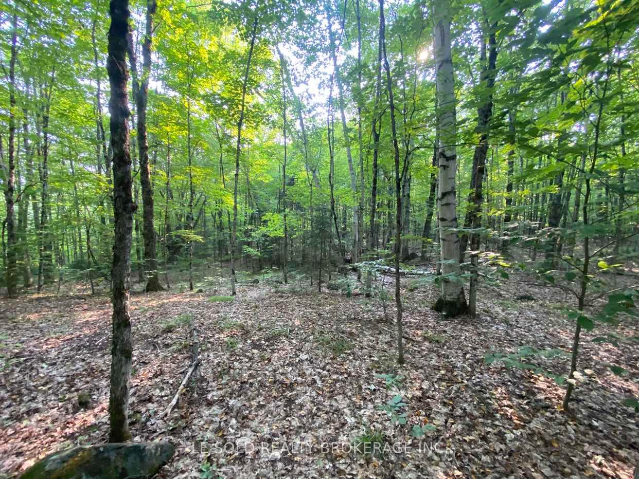 1310 Camel Lake Road Lot # 7, Muskoka Lakes, ON P1L 1X4 photo 5