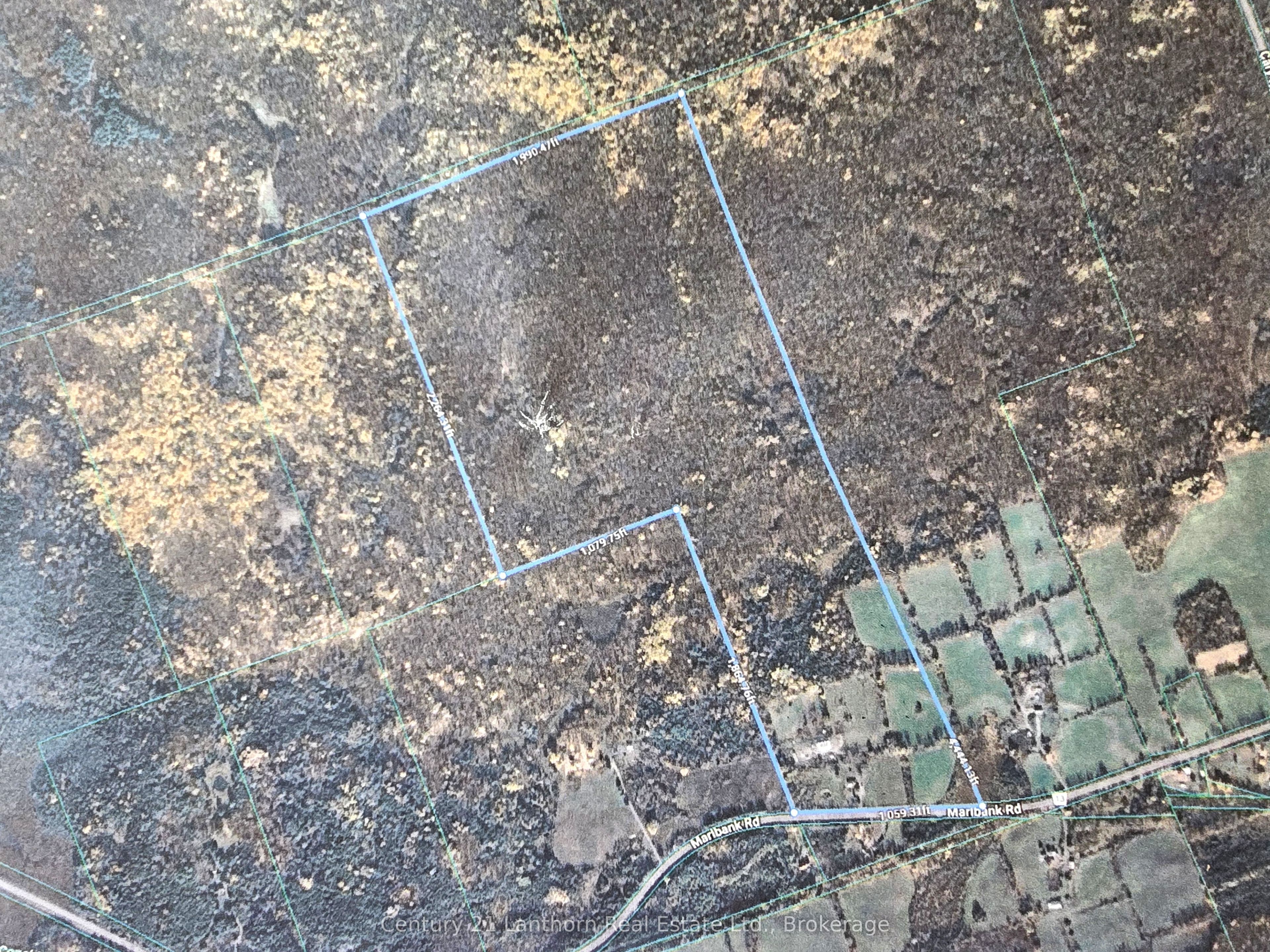 2147 Marlbank Road, Tweed, ON K0K 3J0 photo 4