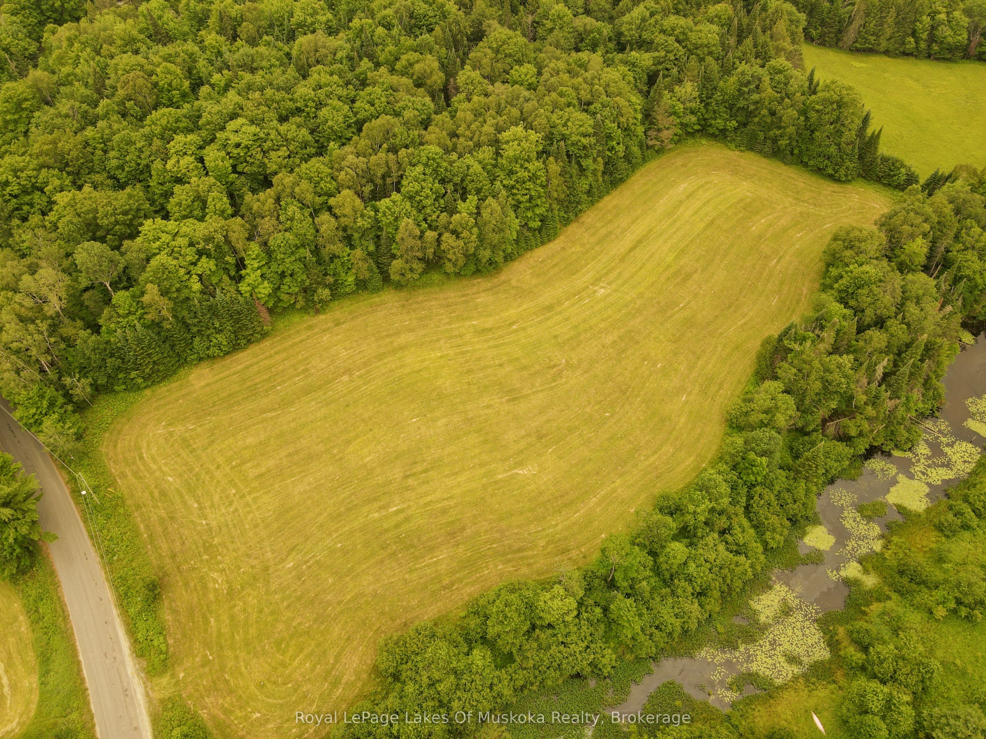 228 West Browns Road Part 1, Huntsville, ON P1H 0A5 photo 2
