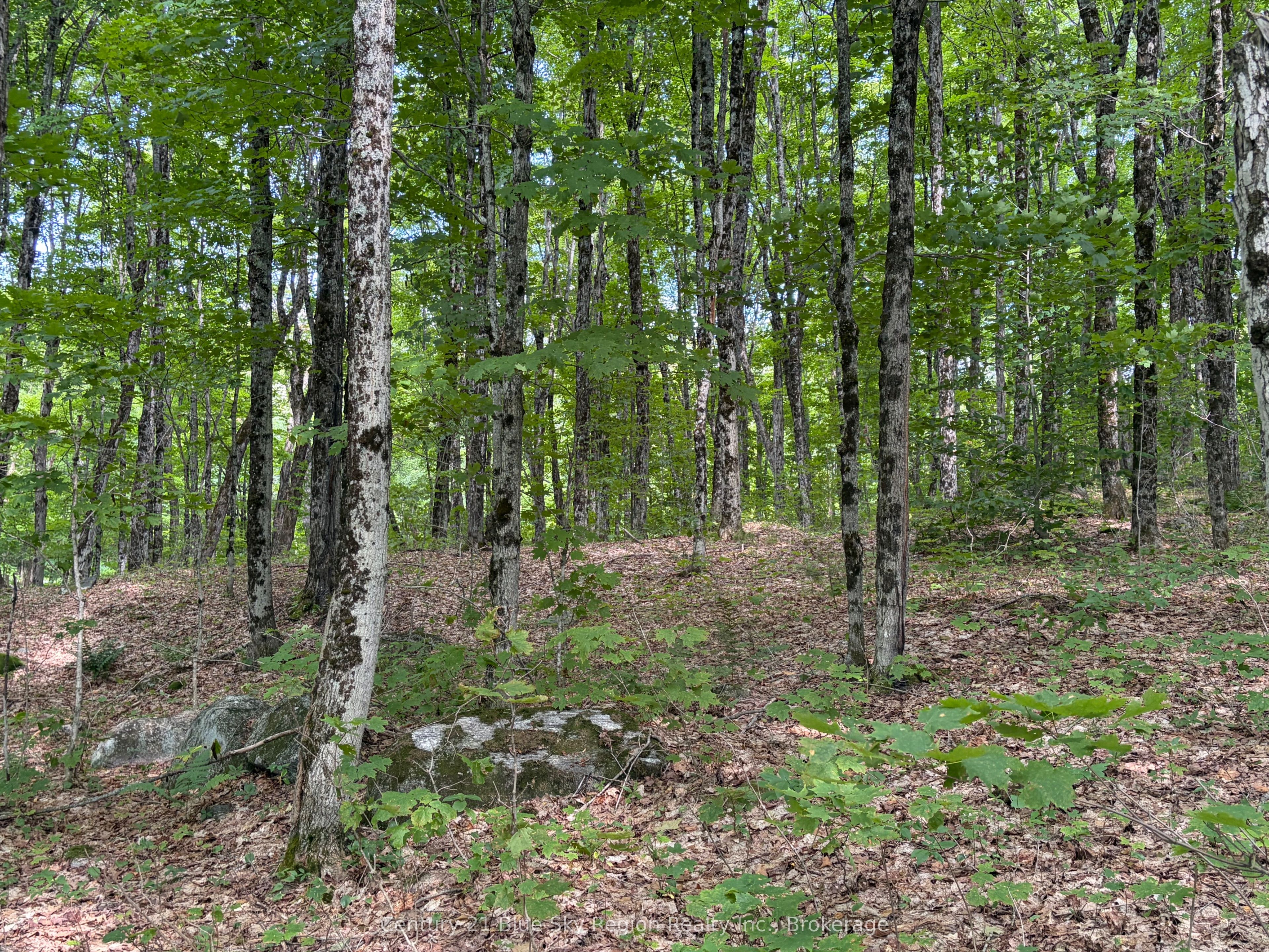 Part Lot 11 & 12 Chikopi Road, Magnetawan, ON P0A 1P0 photo 2