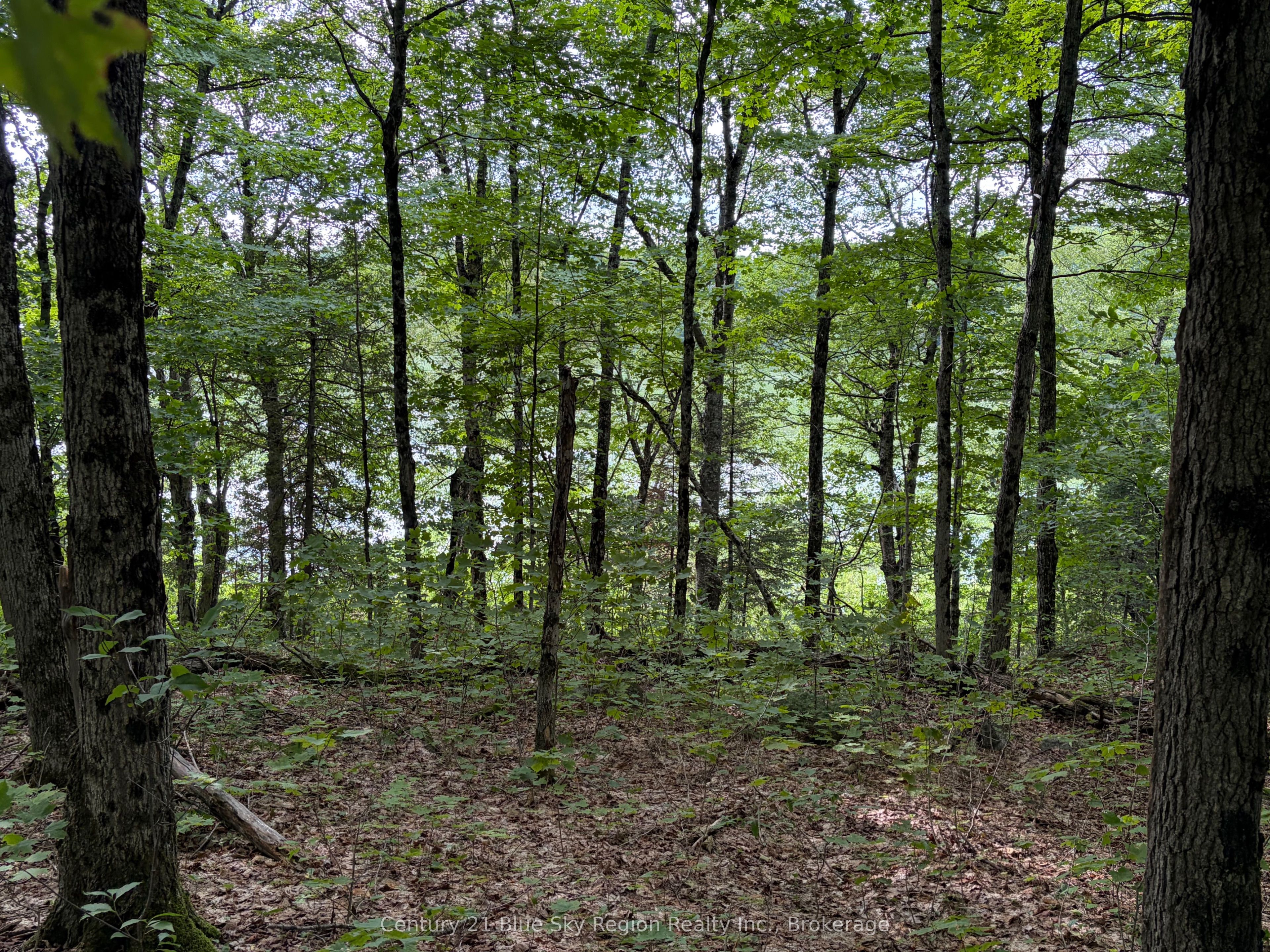 Part Lot 11 & 12 Chikopi Road, Magnetawan, ON P0A 1P0 photo 3