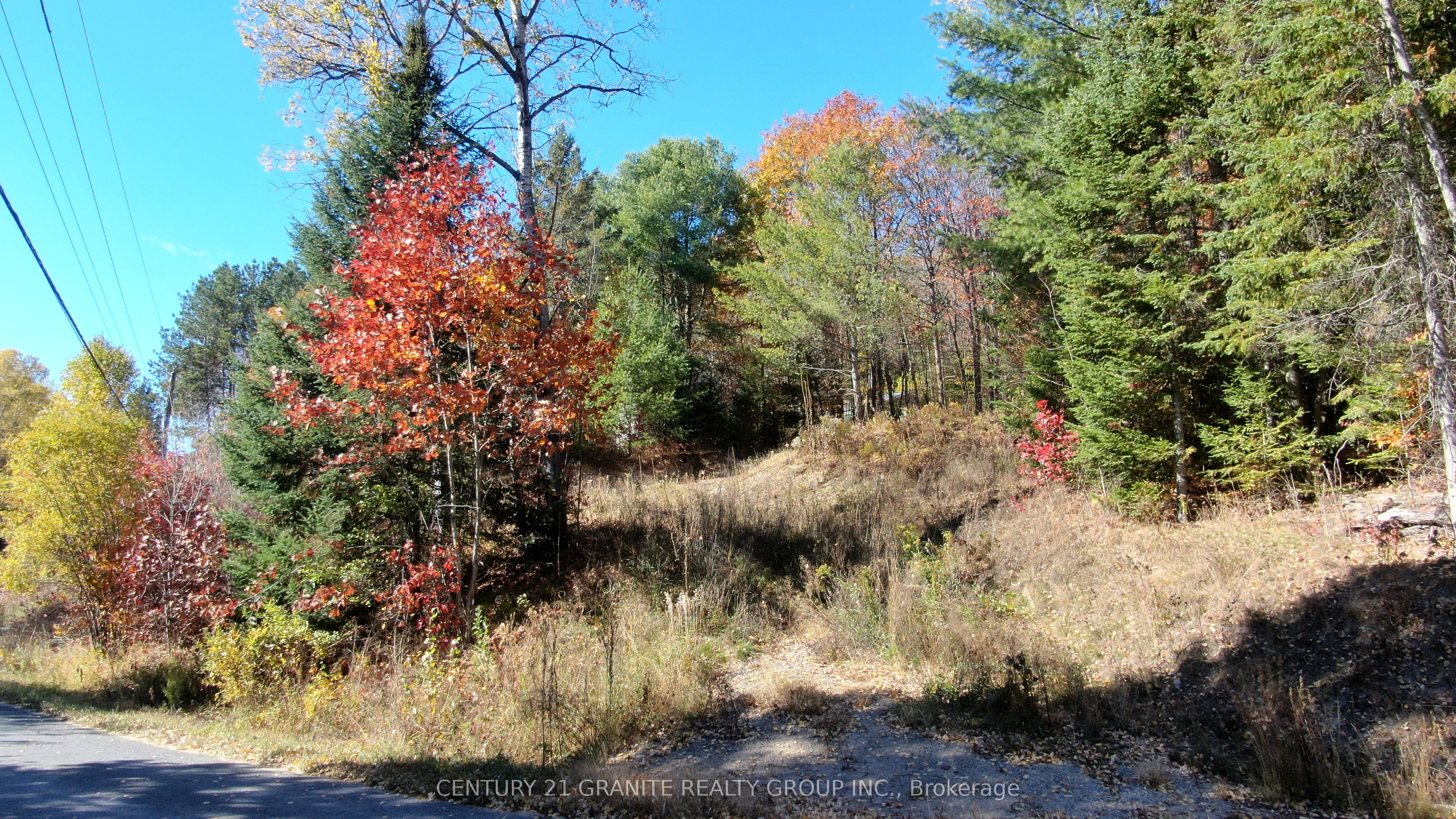 178 Gaebel Road, Bancroft, ON K0L 1C0 photo 2
