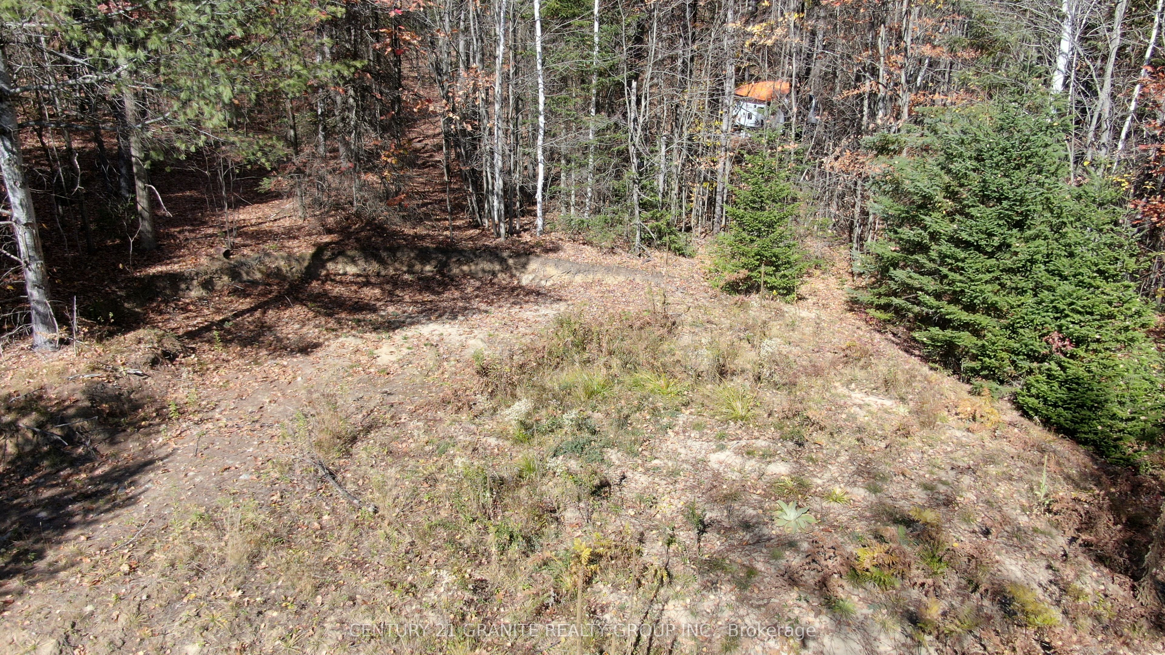 178 Gaebel Road, Bancroft, ON K0L 1C0 photo 5