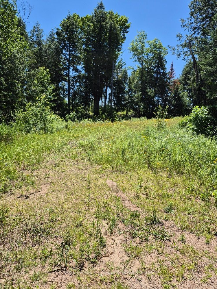 Lot 15 North Steenburg Lake Road, Wollaston, ON K0L 1P0