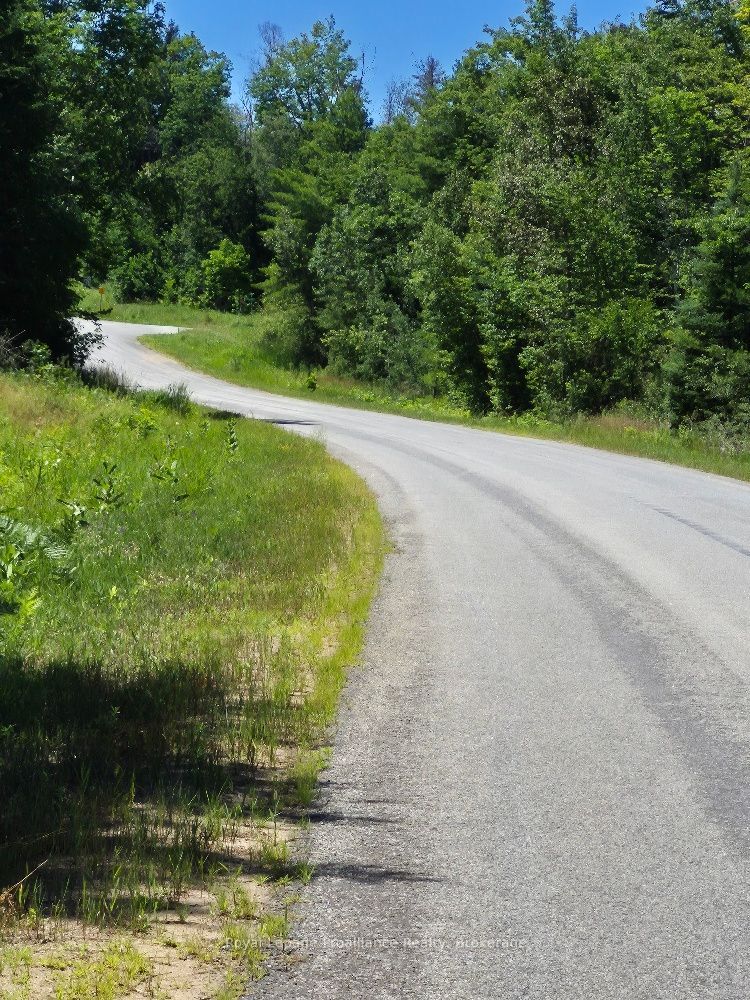 Lot 18 North Steenburg Lake Road, Wollaston, ON K0L 1P0 photo 2