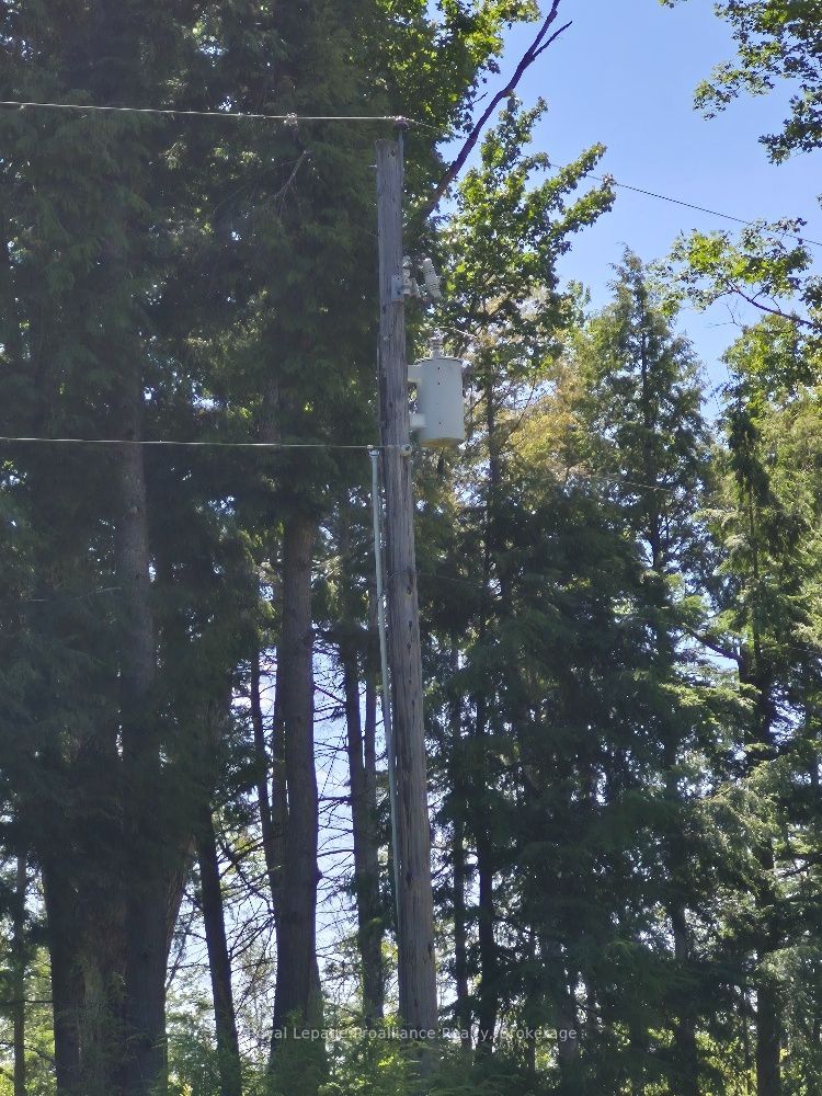 Lot 18 North Steenburg Lake Road, Wollaston, ON K0L 1P0 photo 3