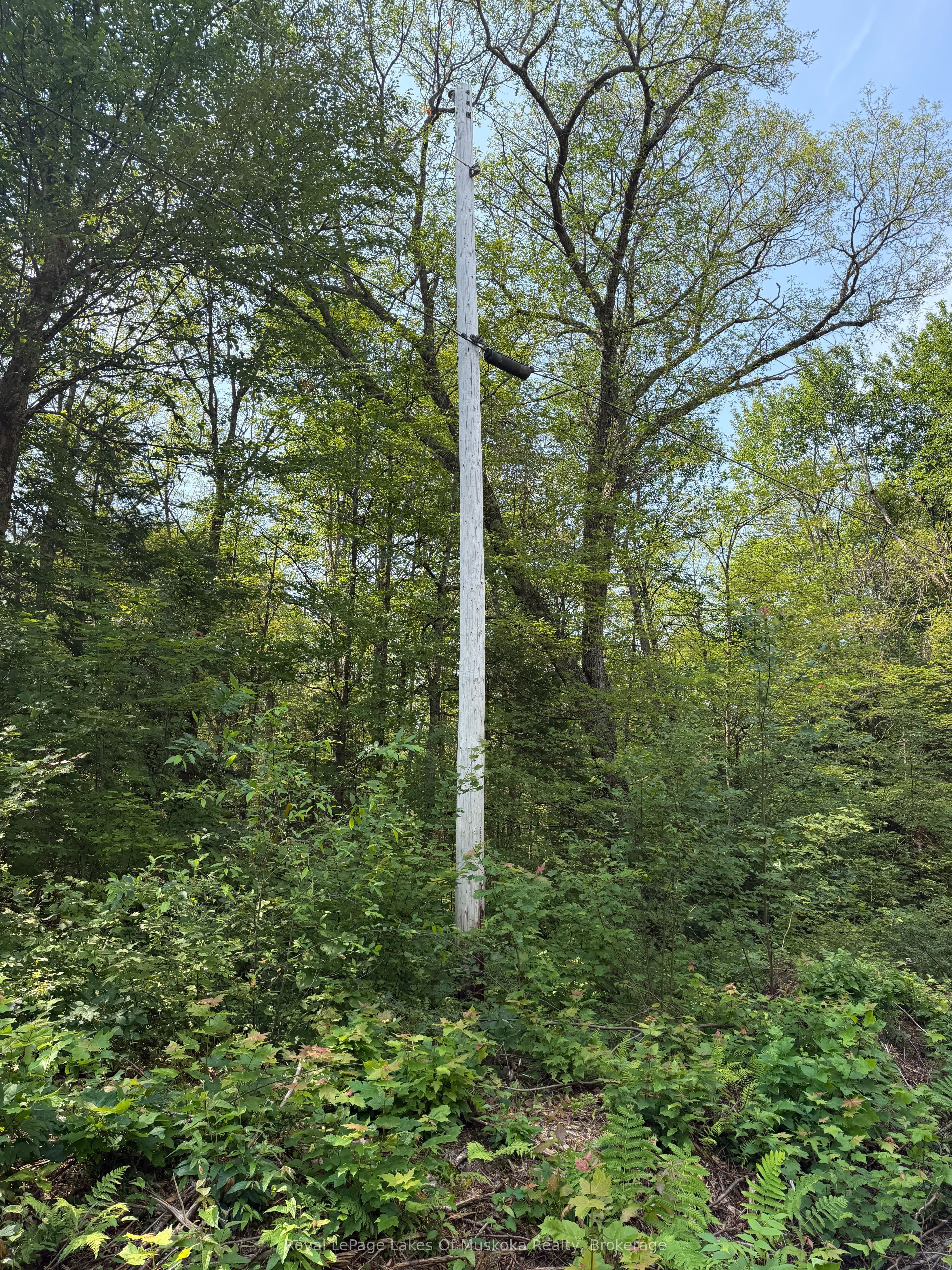 0 Stoney Road, Ryerson, ON P0A 1C0 photo 5