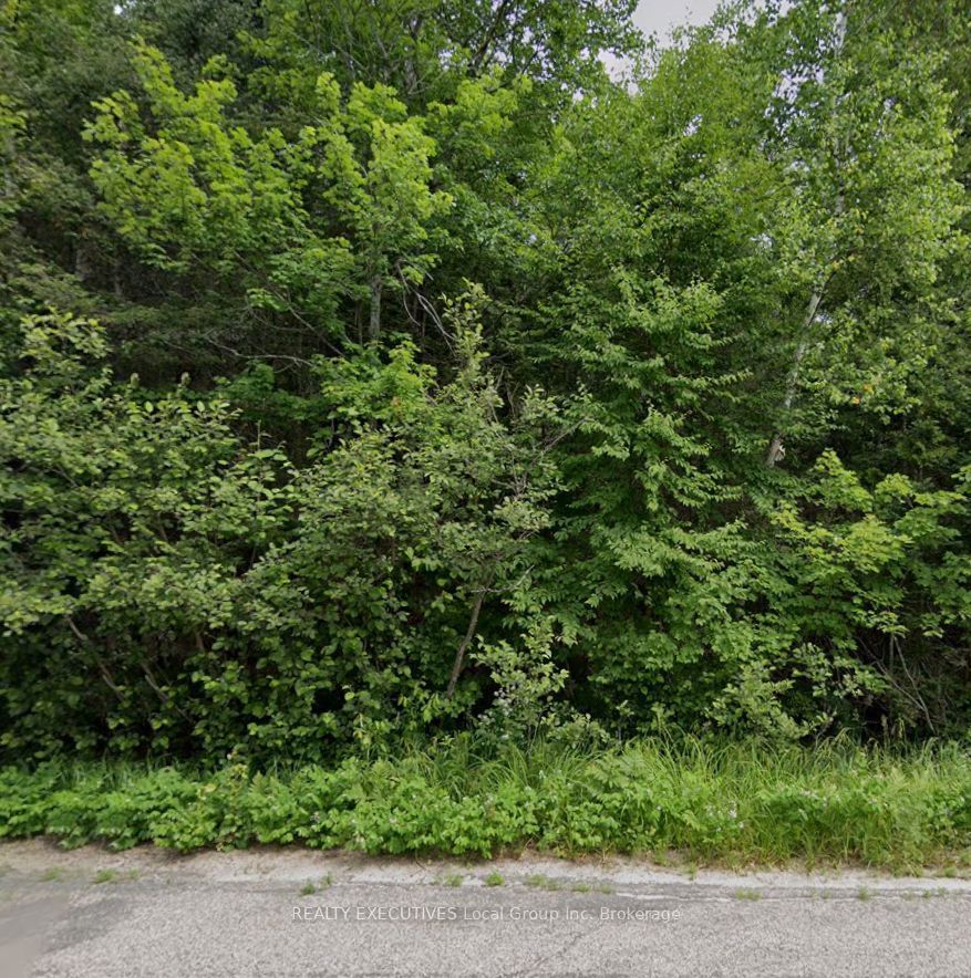 Lot 2 Widdifield Station Road, North Bay, ON P1B 8G2 photo 4