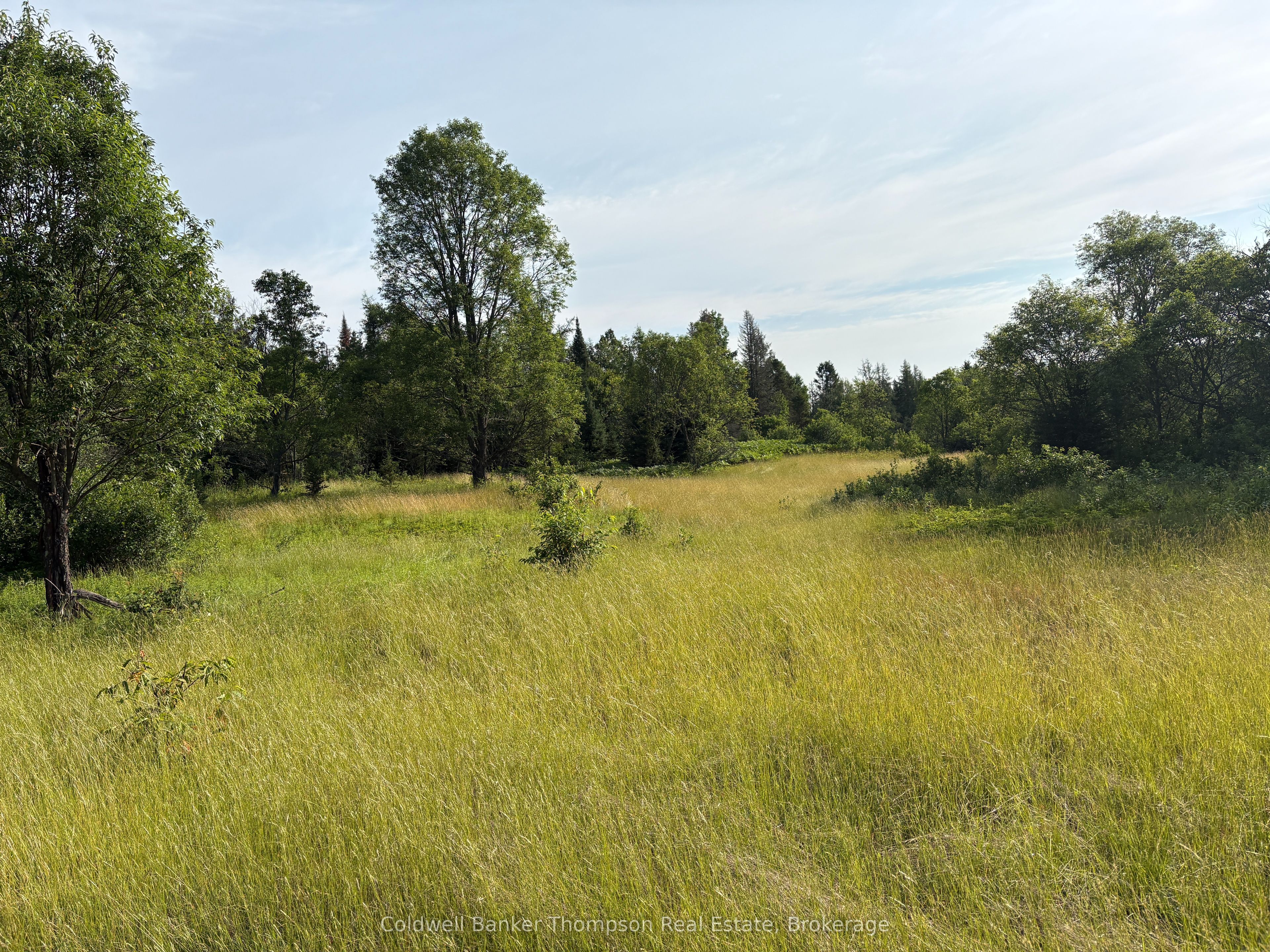 LT 12 Municipal Road N, Machar, ON P0A 1X0 photo 4