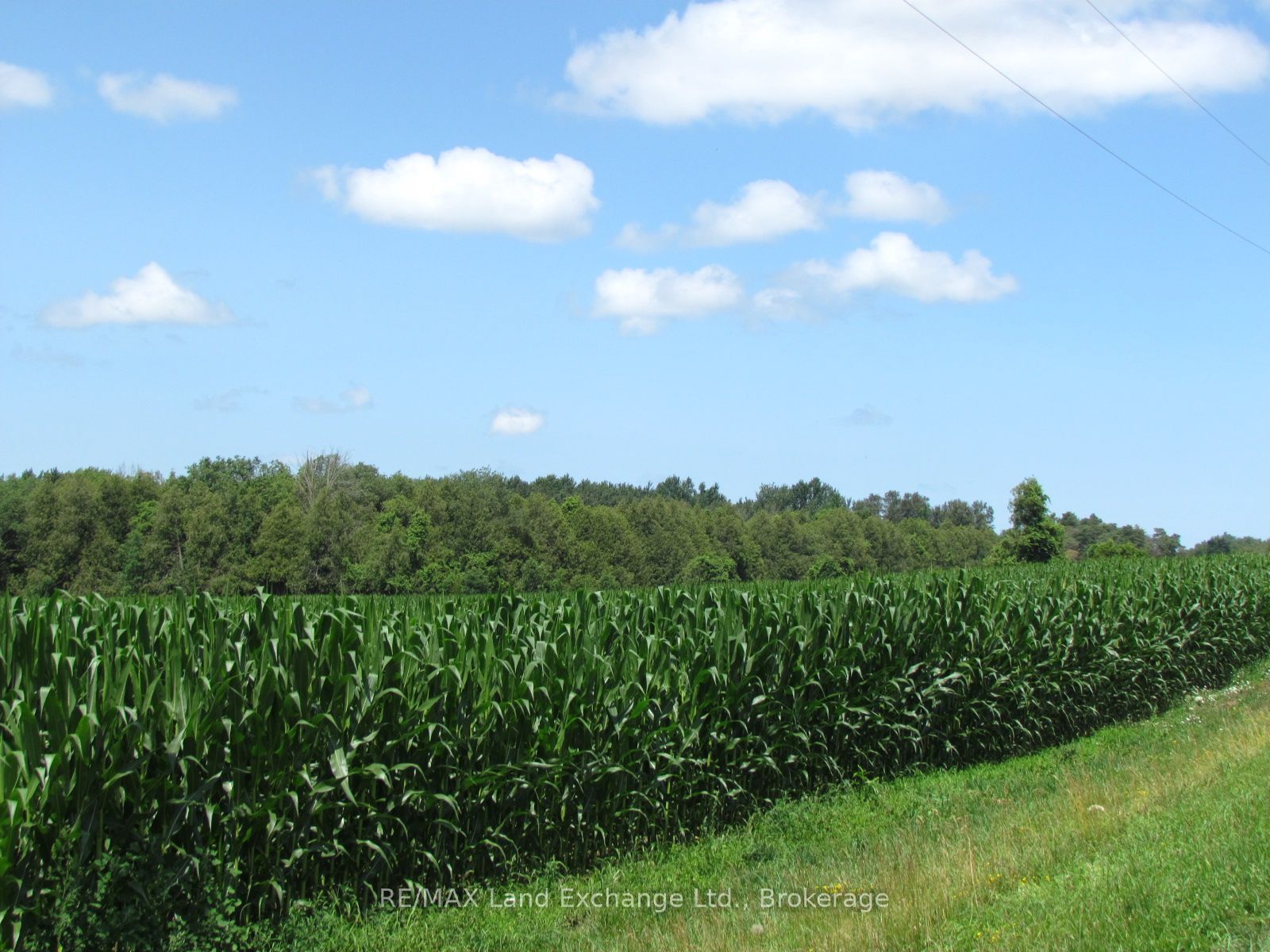15 10B Side Road, South Bruce, ON N0G 1W0 photo 3