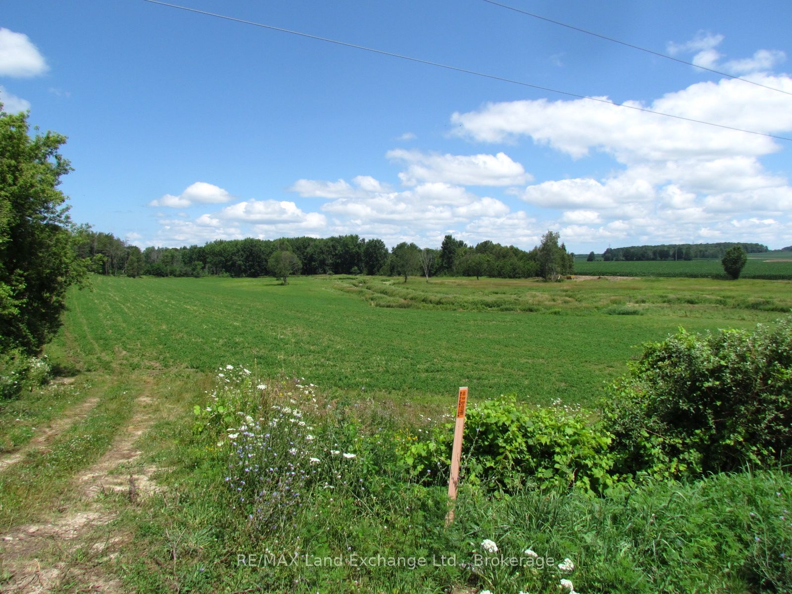 15 10B Side Road, South Bruce, ON N0G 1W0 photo 4