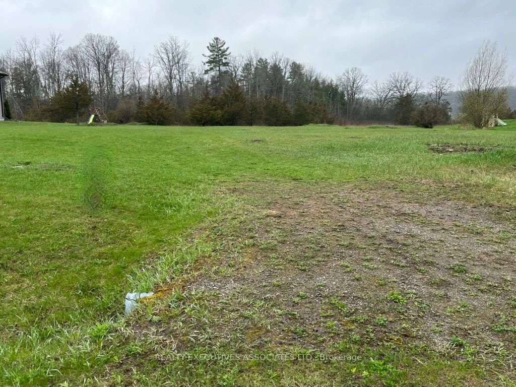 594 Percy Boom Road, Trent Hills, ON K0L 1L0 photo 5